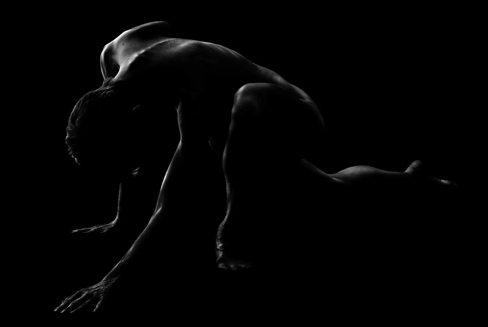The Dancer