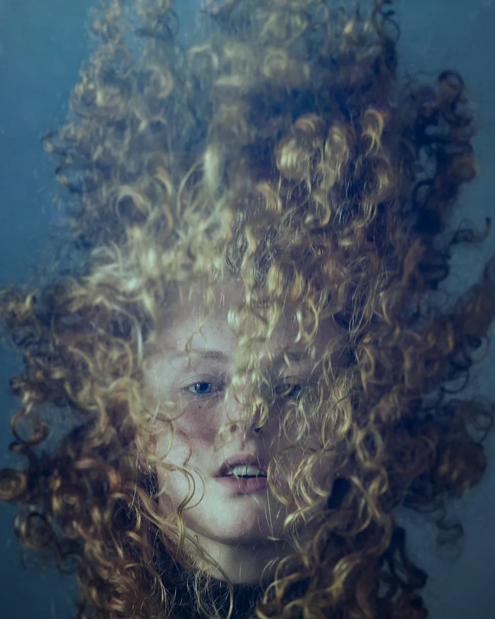 Entry 1761315