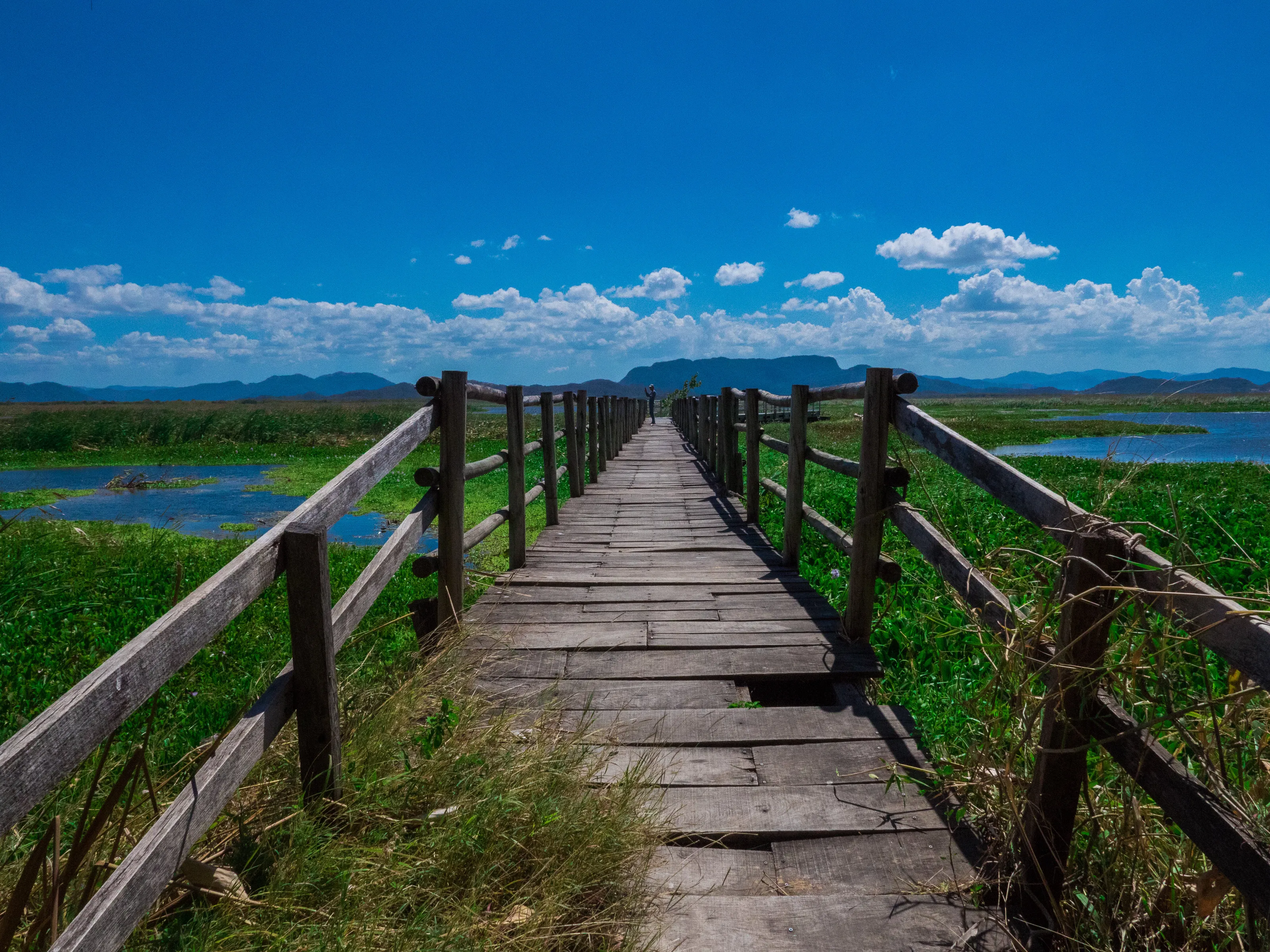 Bridge on in Costa Rica