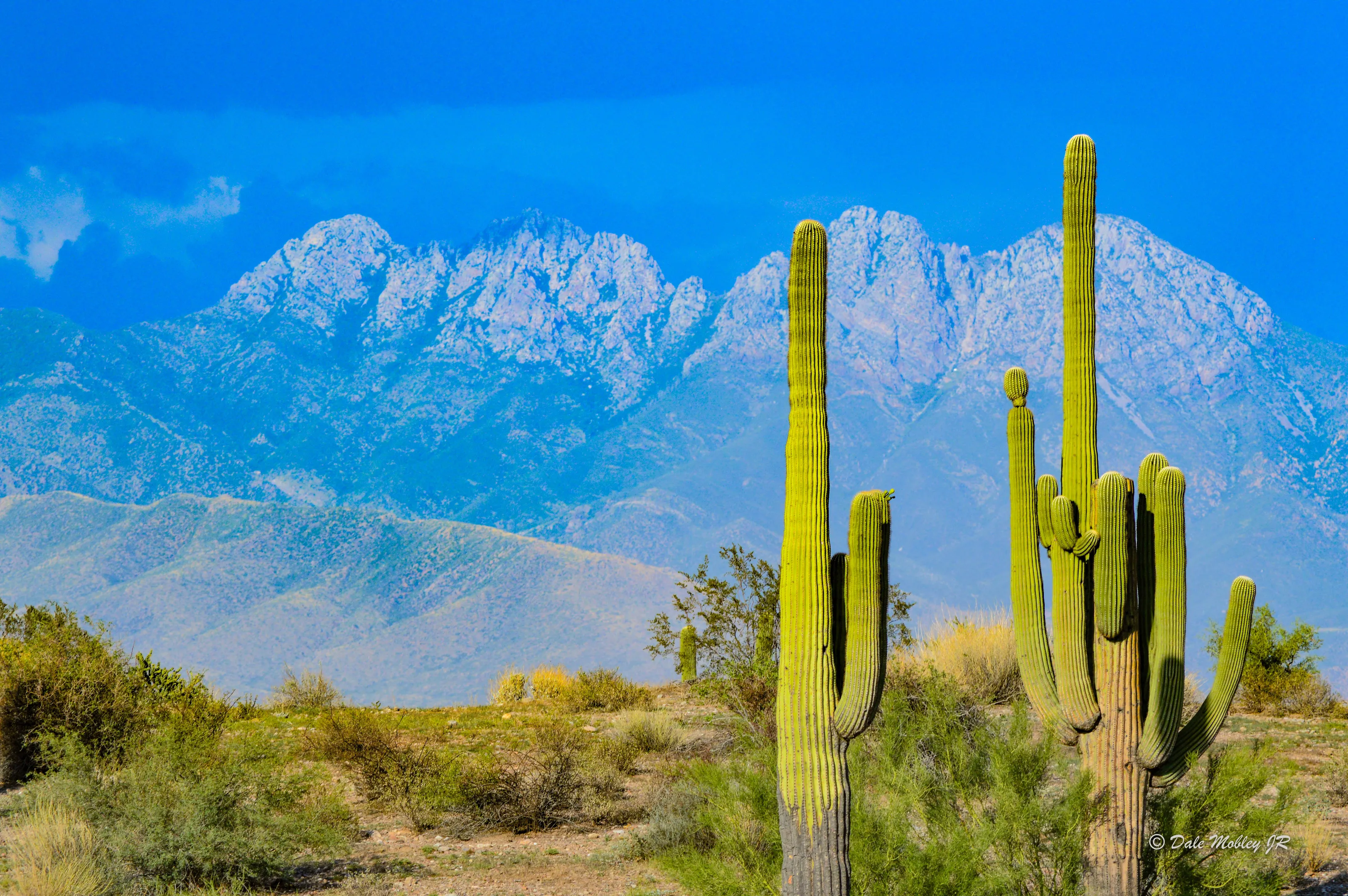 4 Peaks Arizona