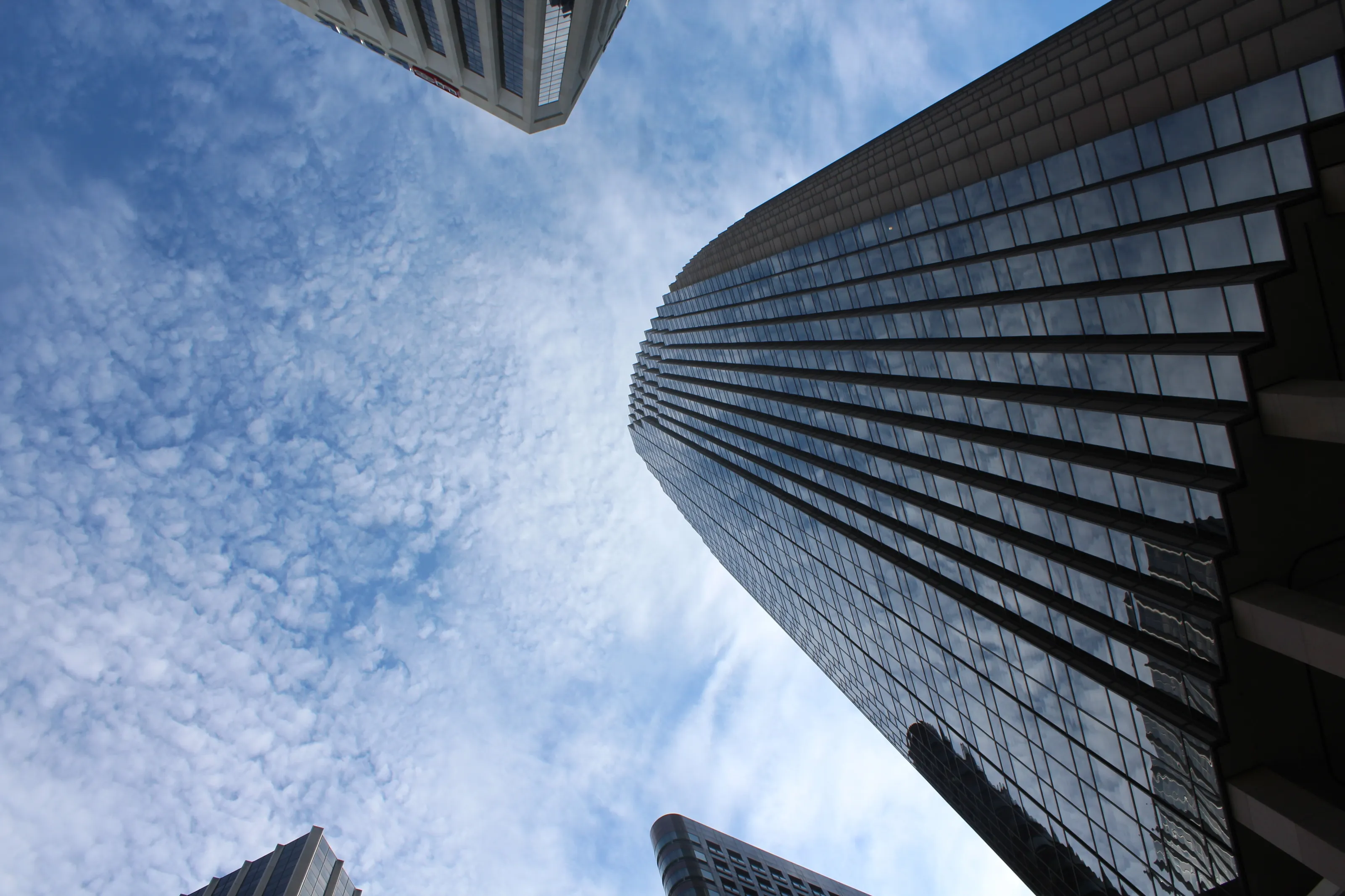 Looking Up in San Francisco