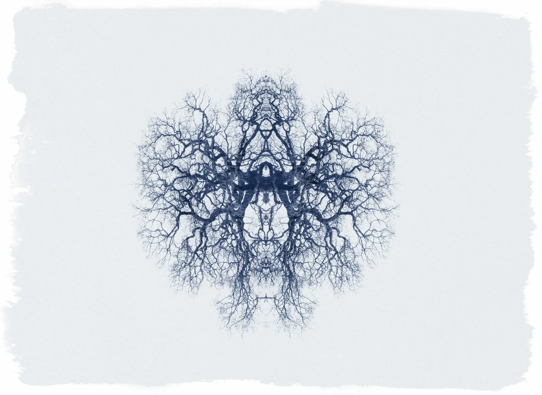 Untitled 11