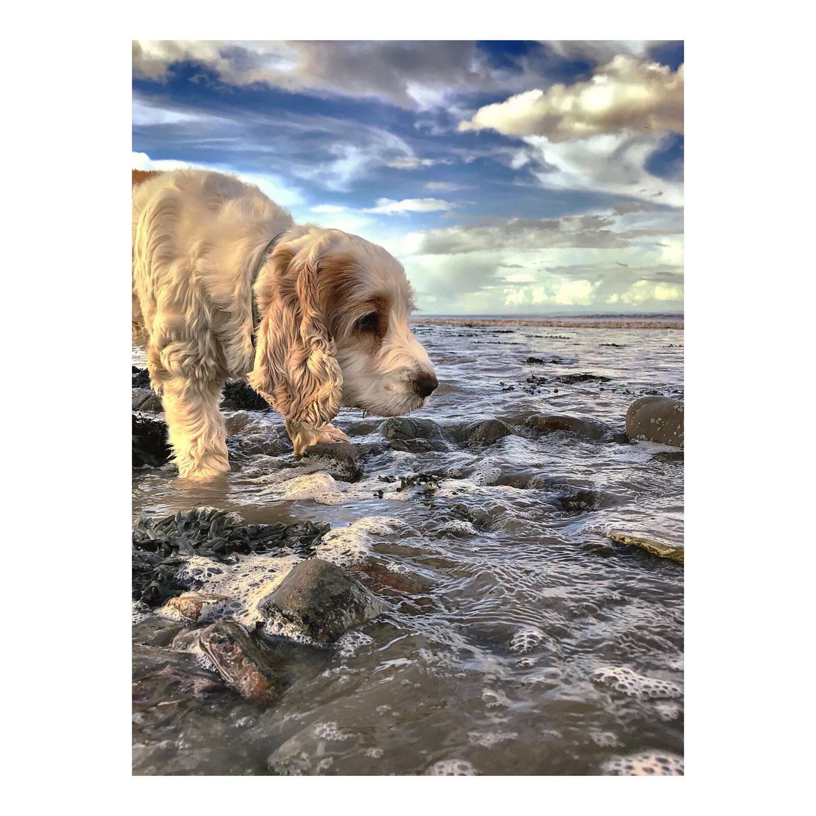 Gone fishing