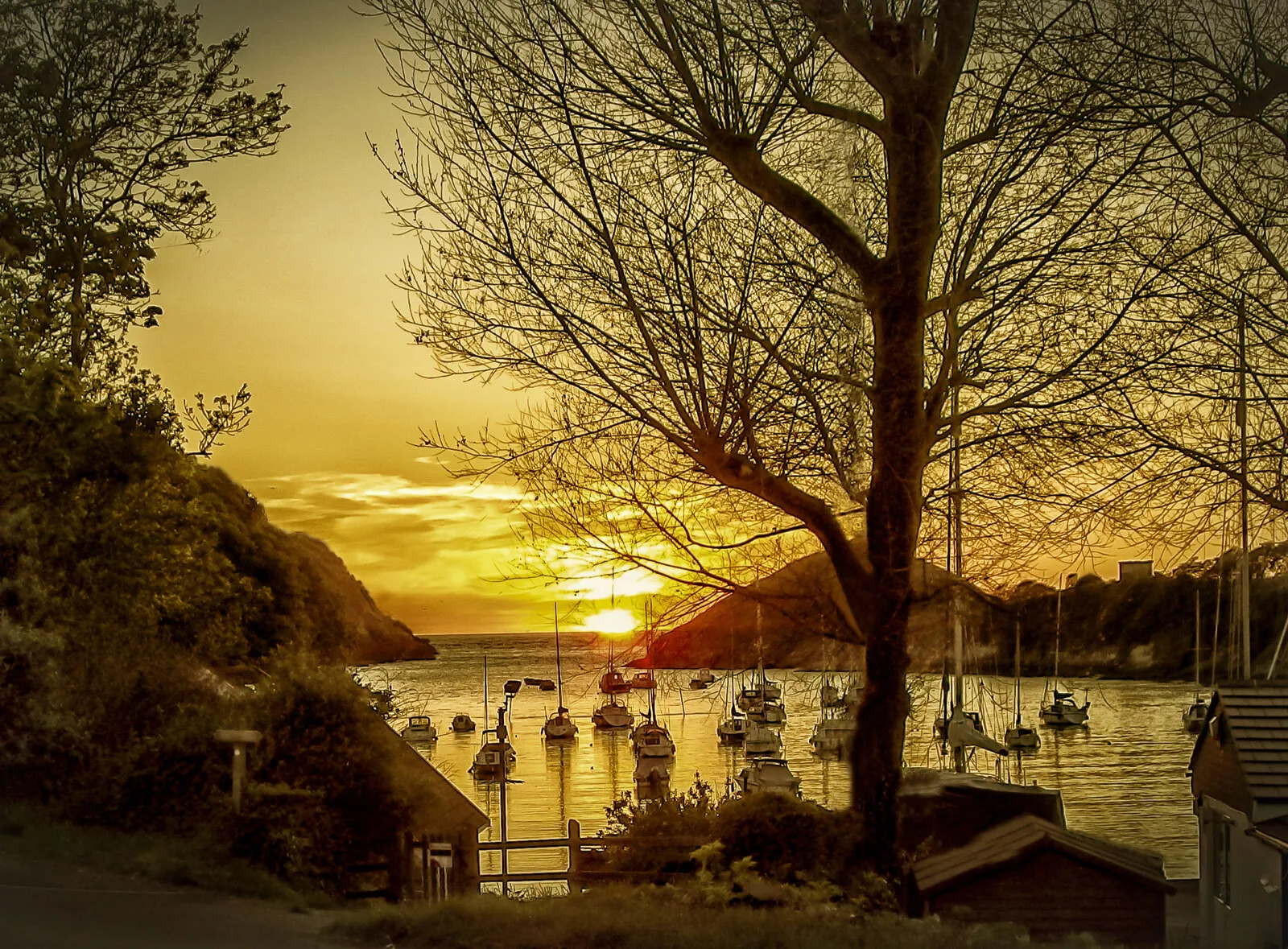 Watermouth Bay Devon at Sunset
