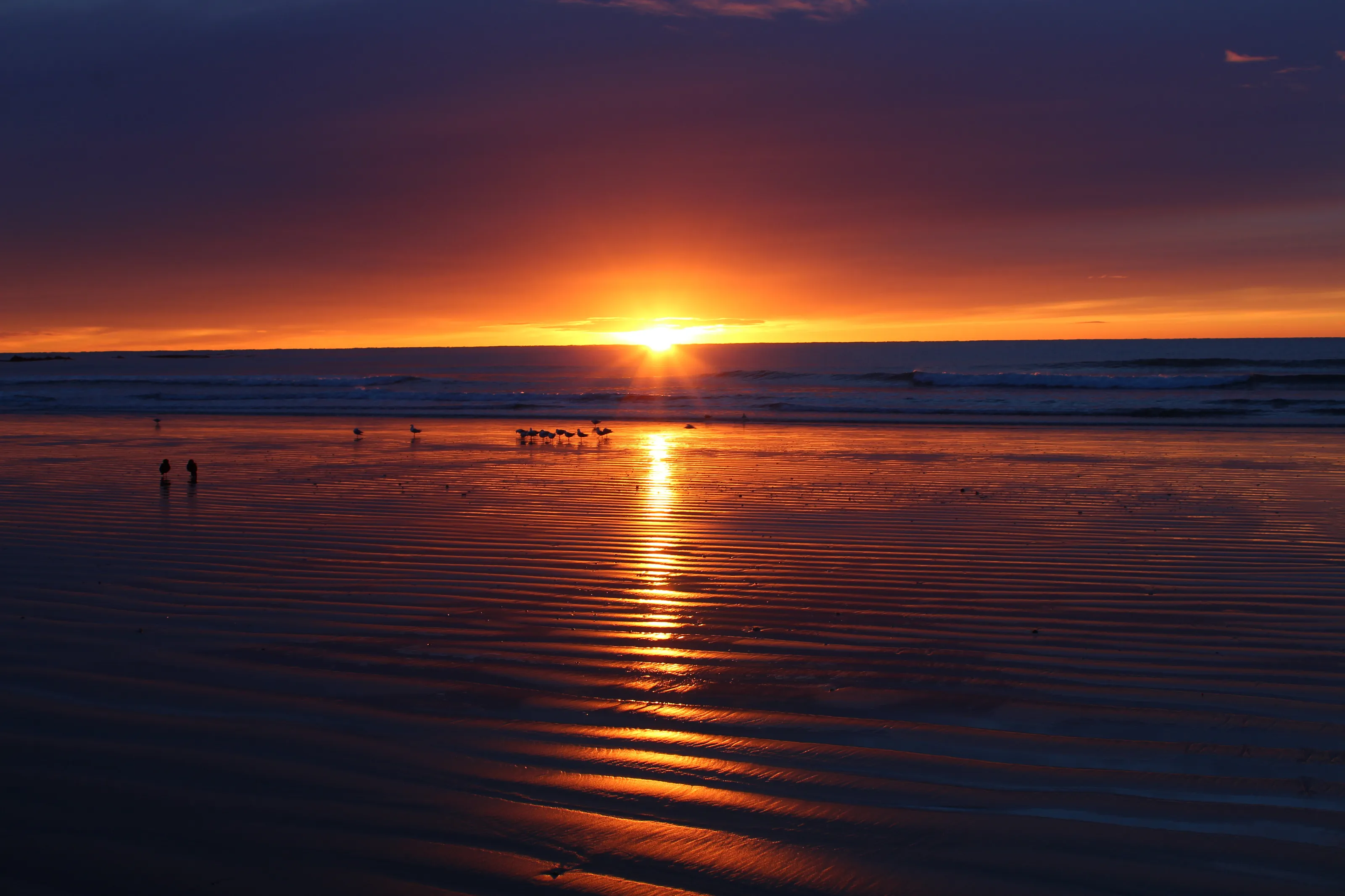 Sunrise Nugget Point