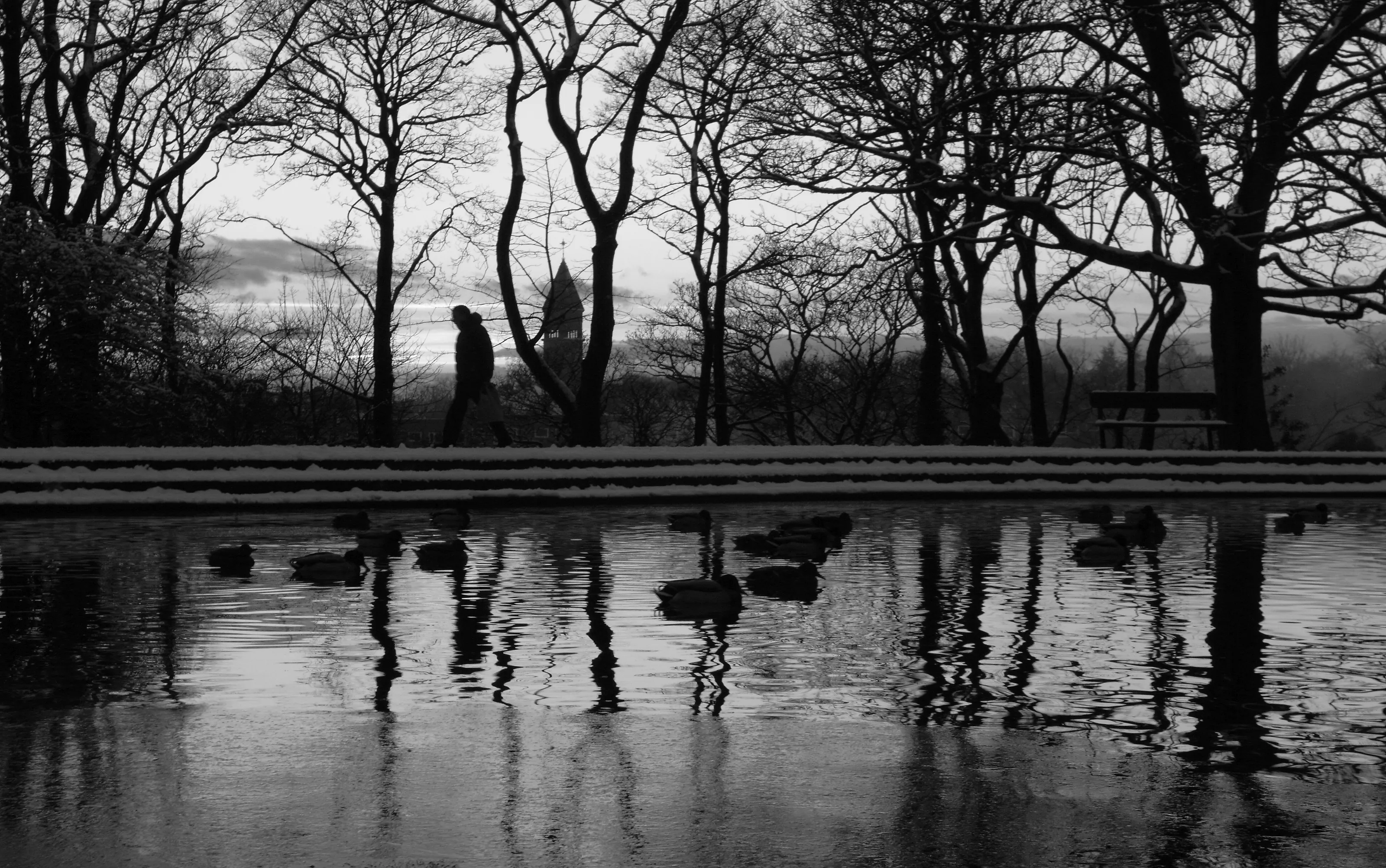 A walk in the Park