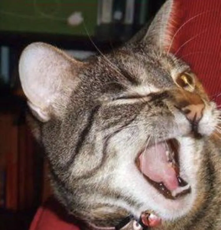 Wink wink