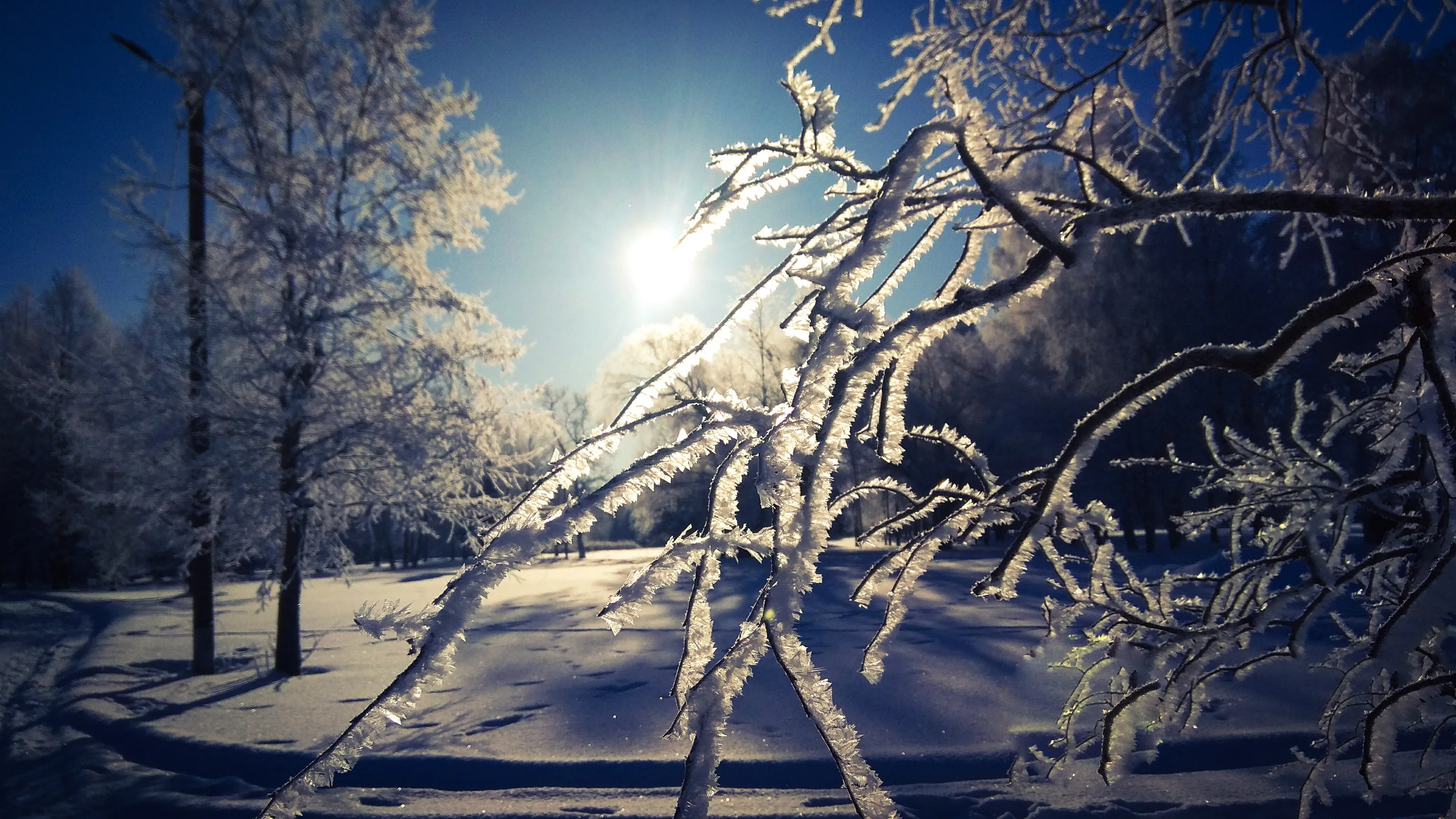 Saint-Petersberg's winter