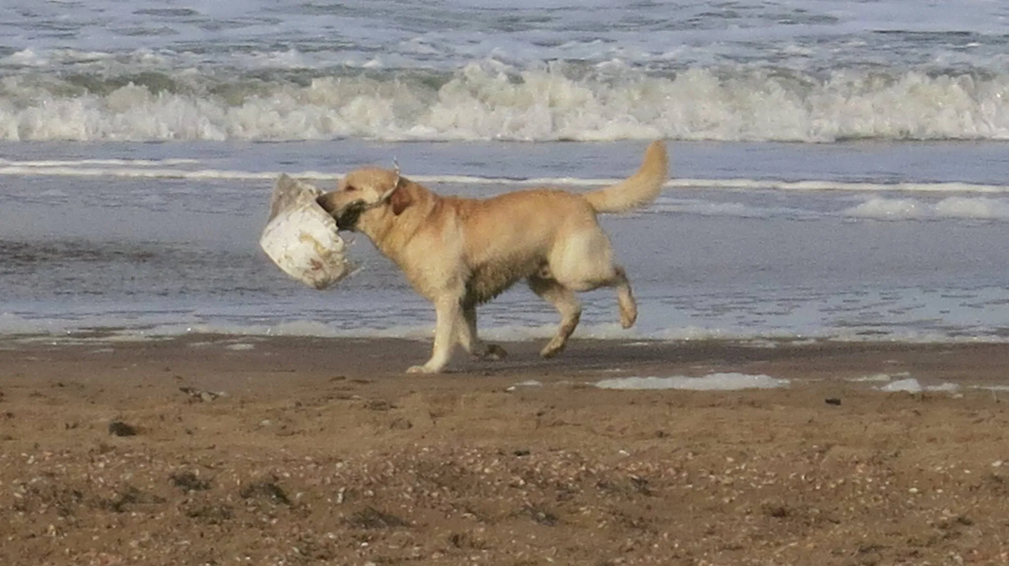Scheveningen