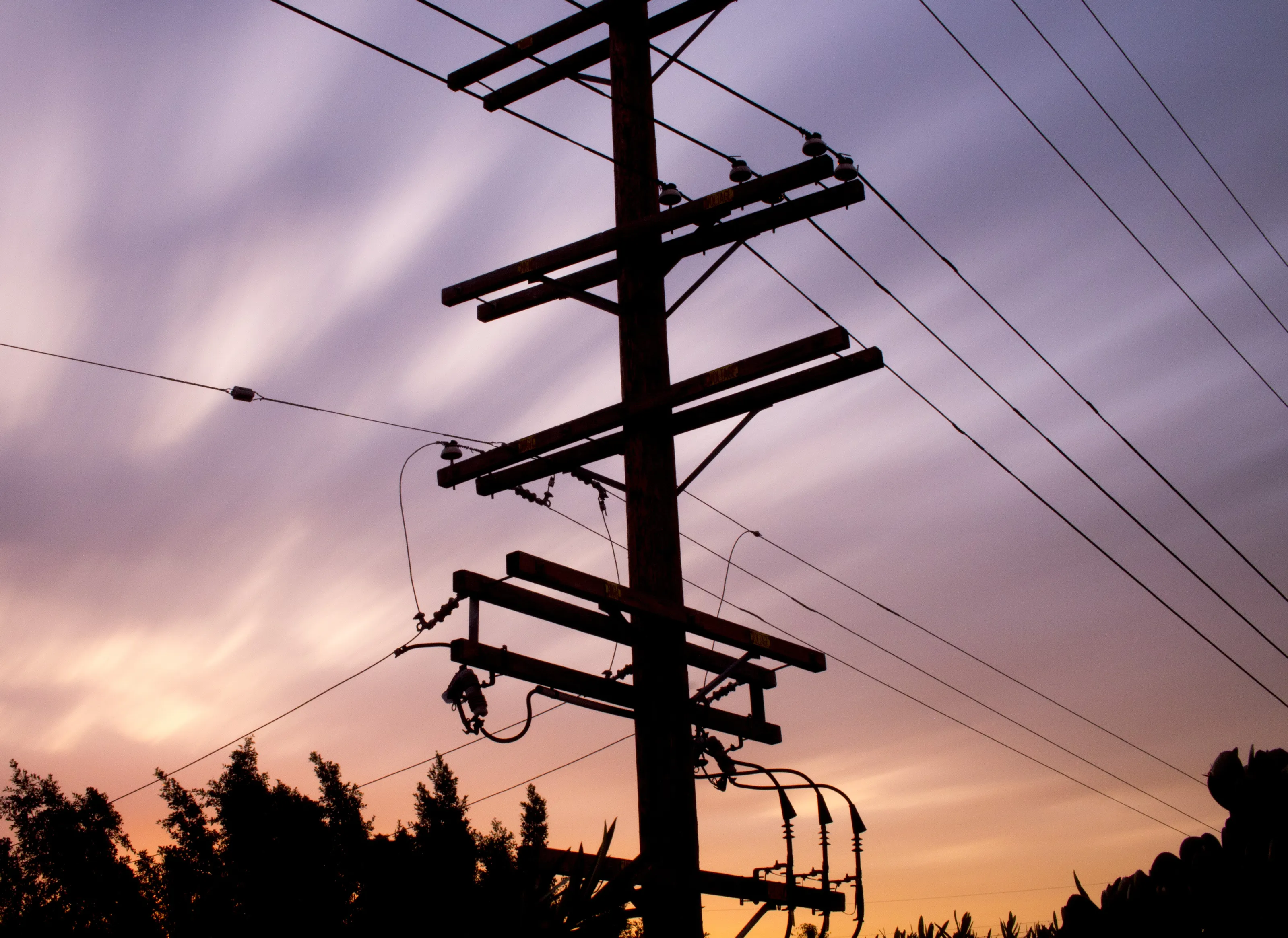 Looking Up at The Telephone Wires in Los Angeles