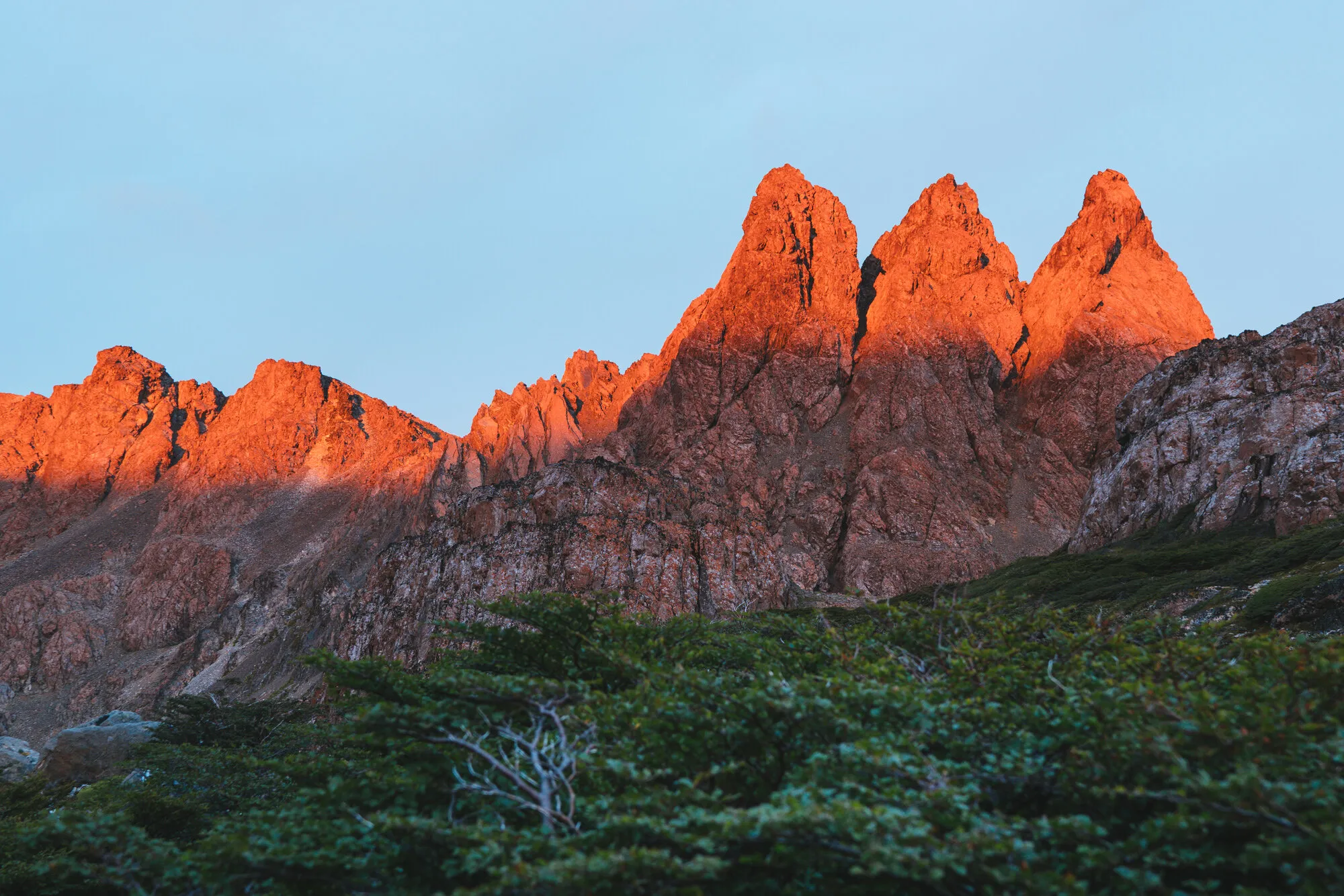 Dientes de Navarino