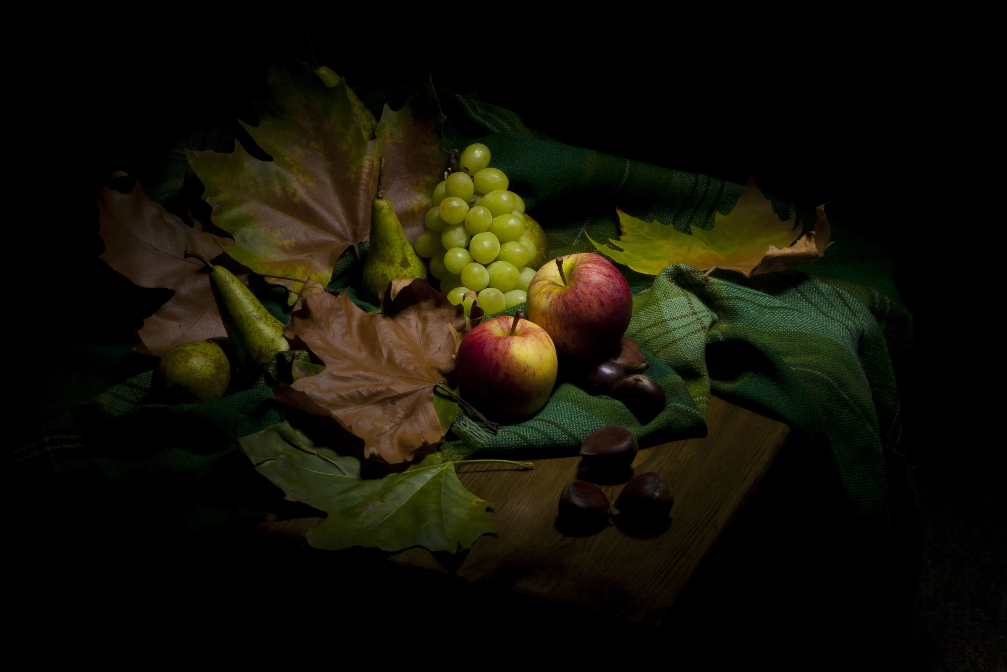 Autumn Colours