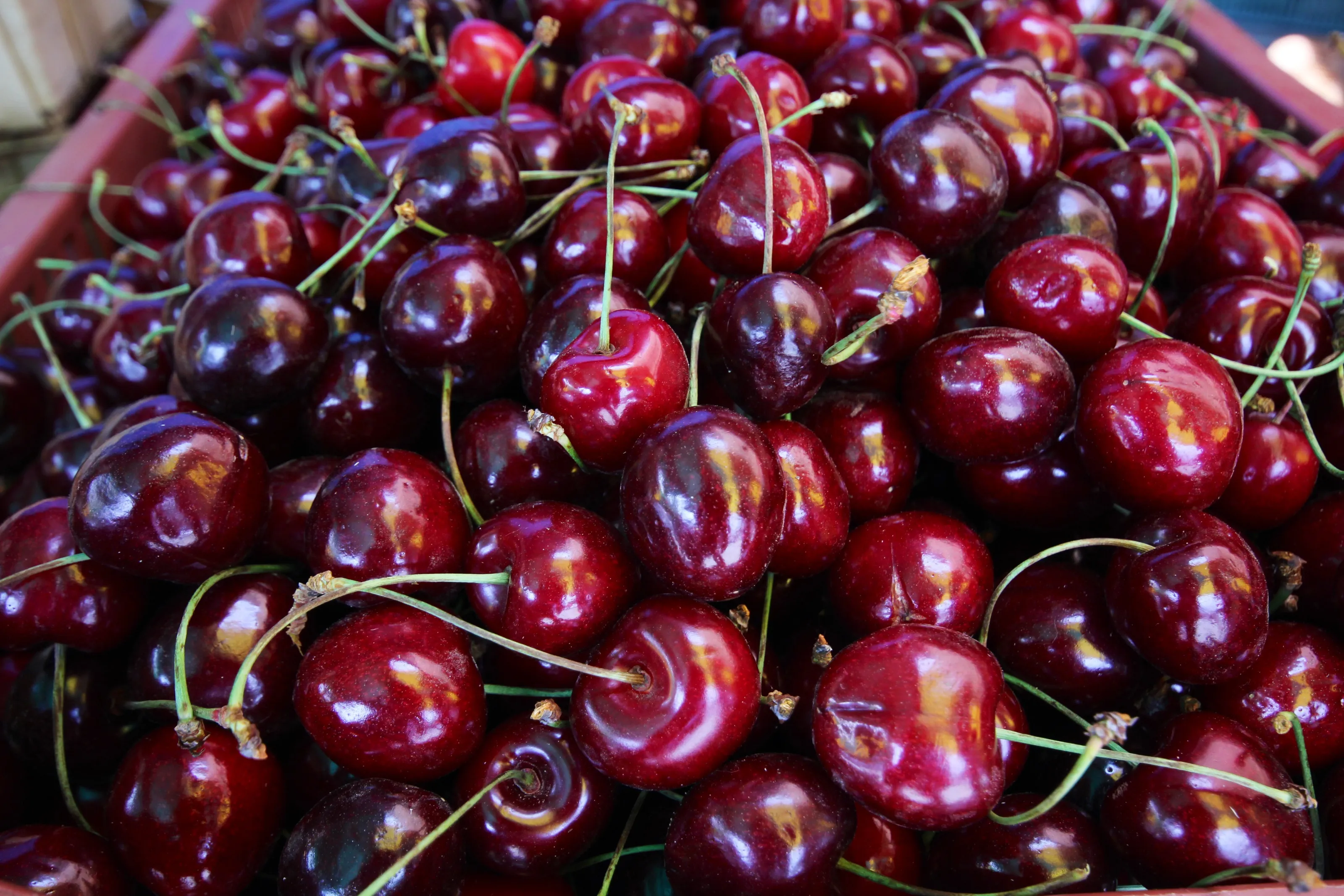 Cherries