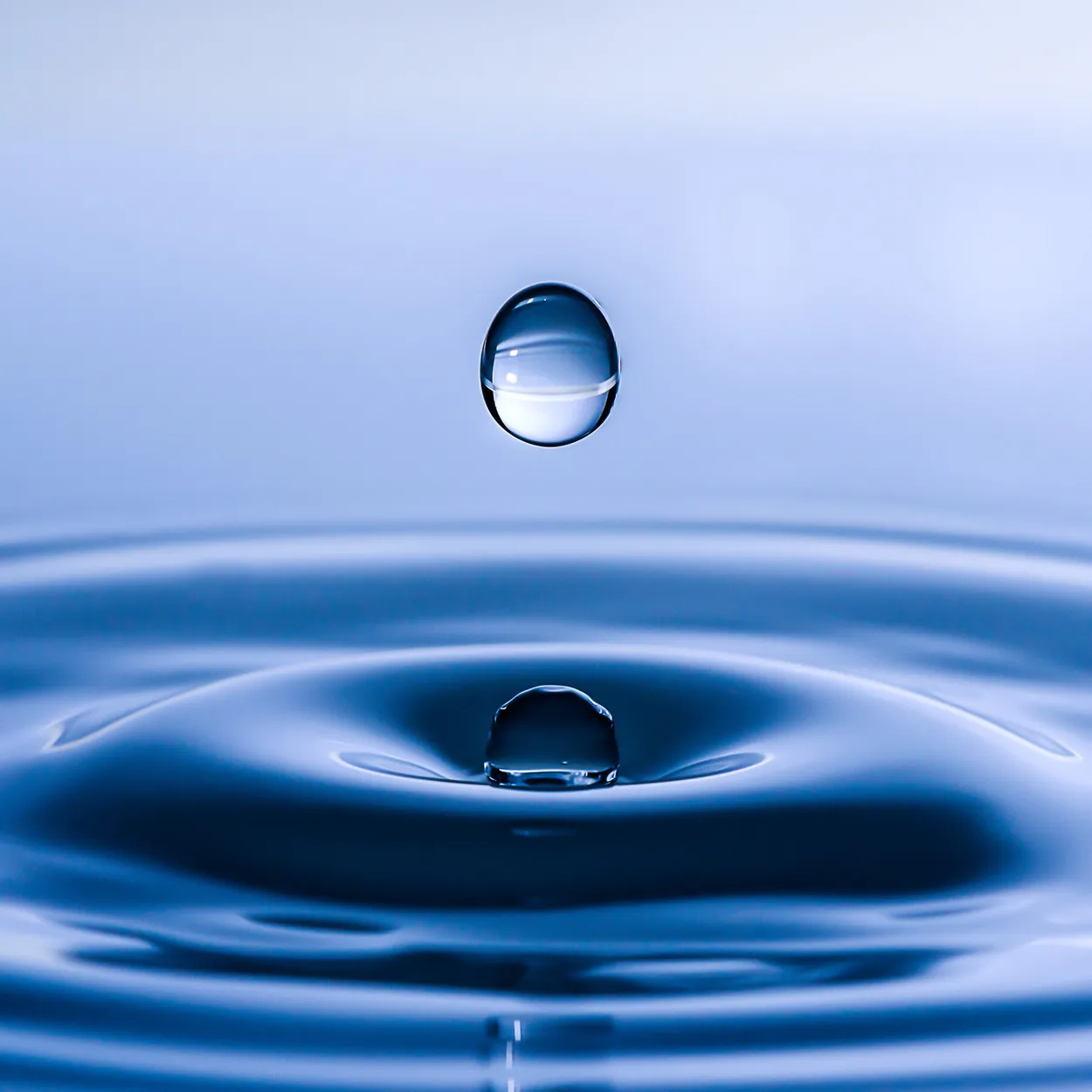 Entry 3262134