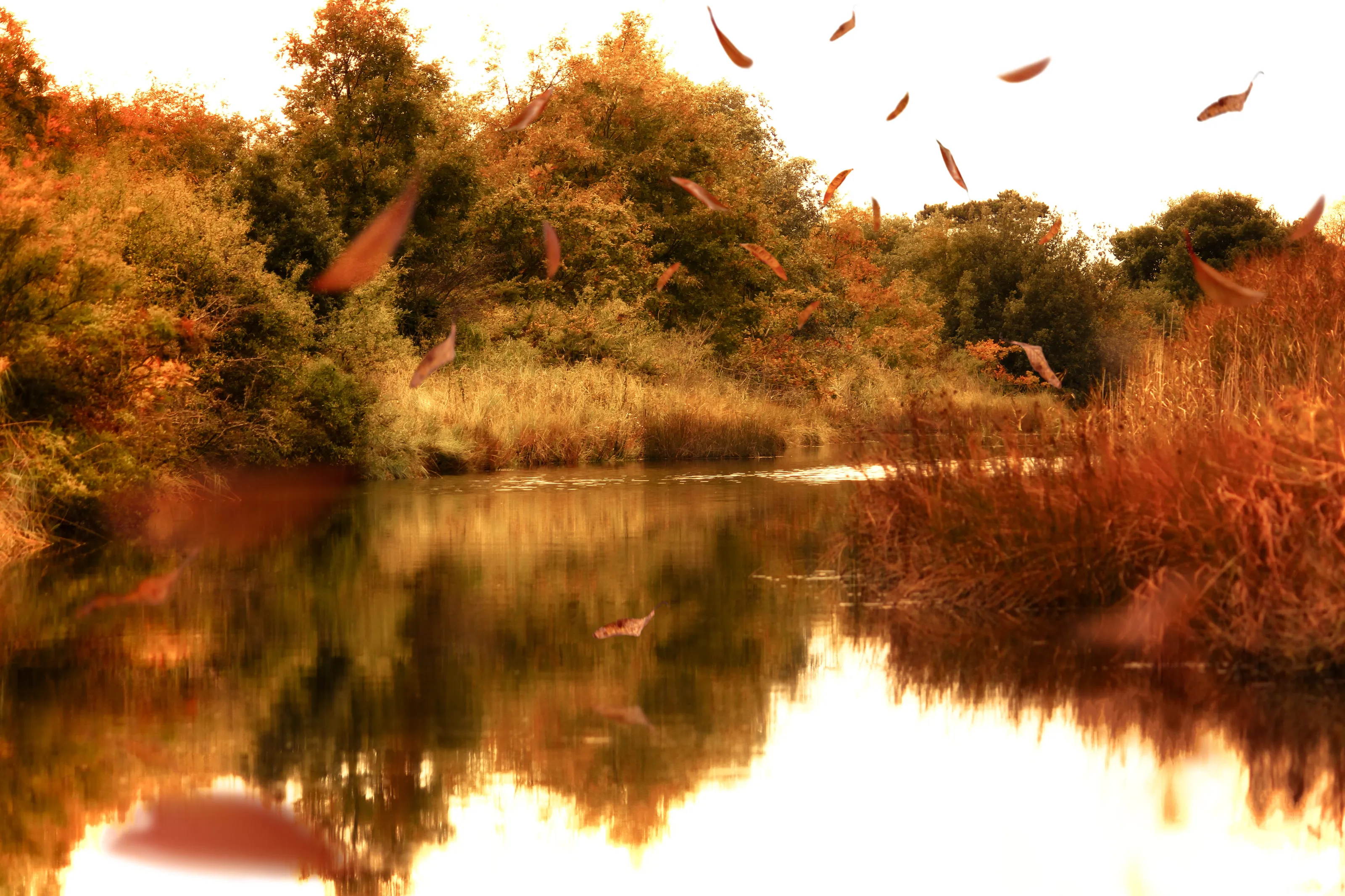 Autumn Waters