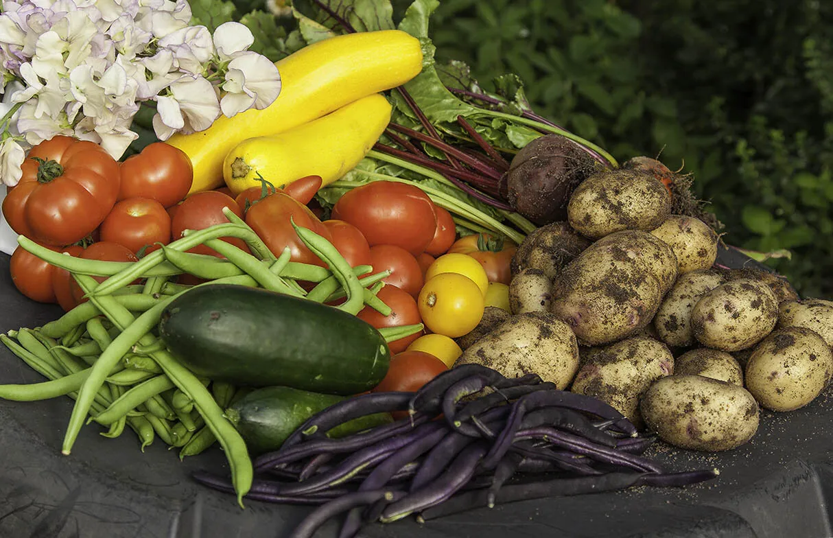 Entry 8936148