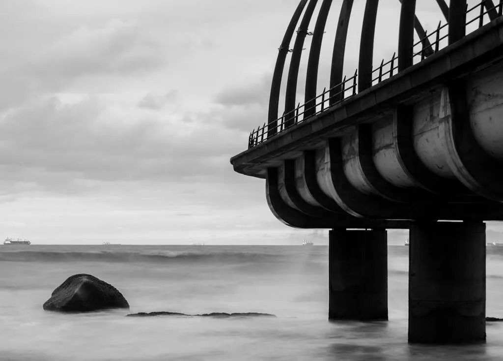 Whale Bone Pier In Monochrome