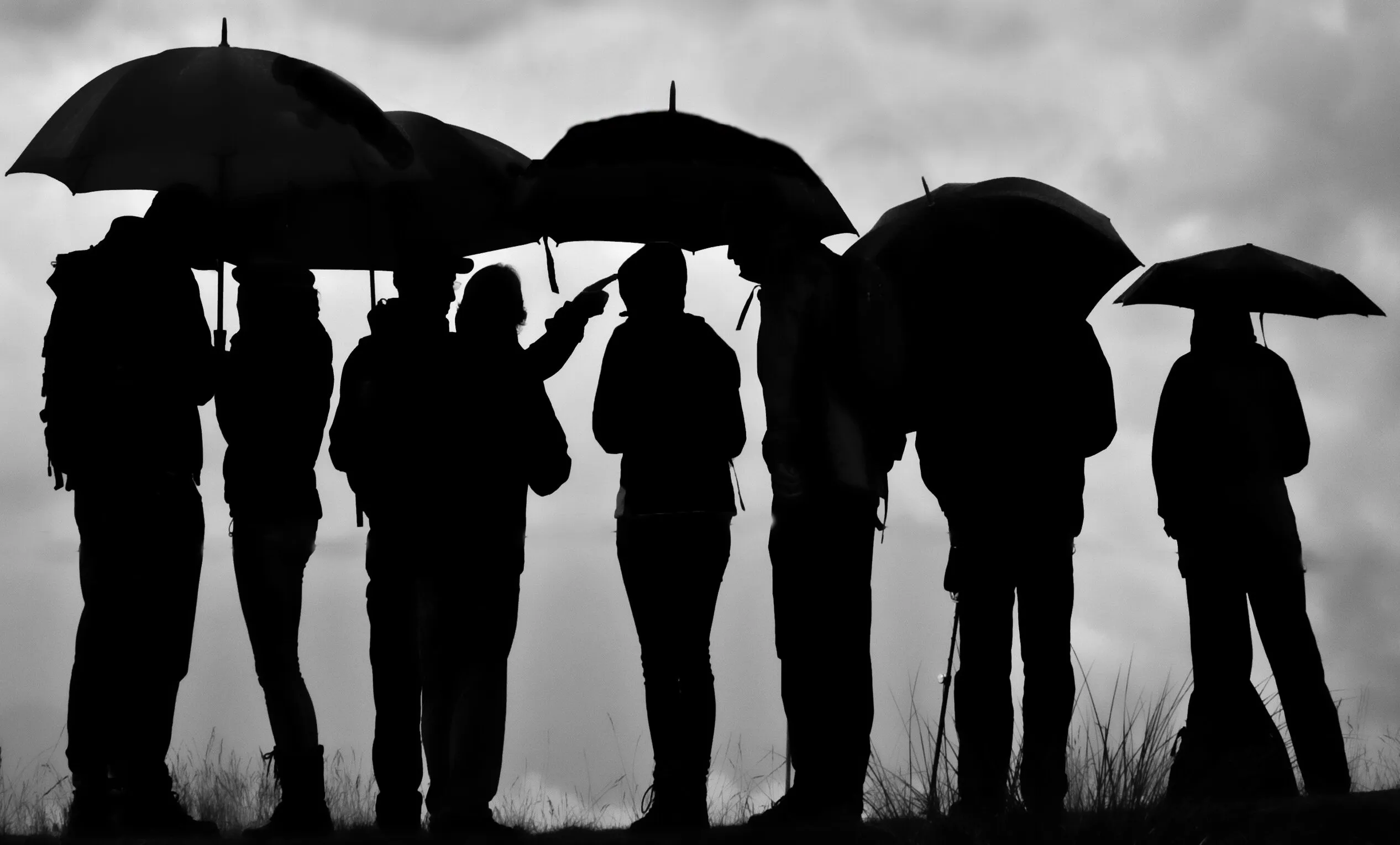 A British Summer