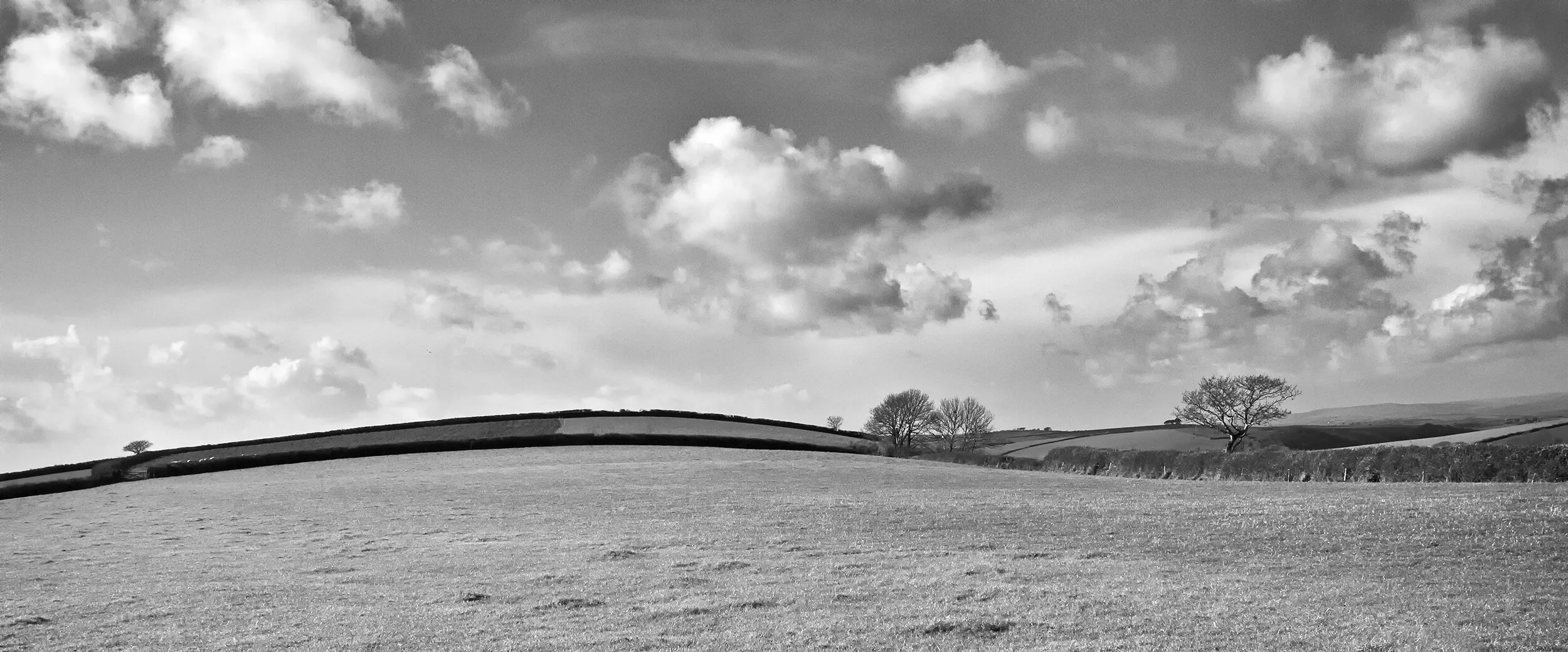 Devon Countryside