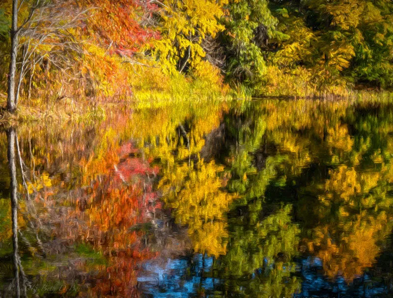 Colors of Fall