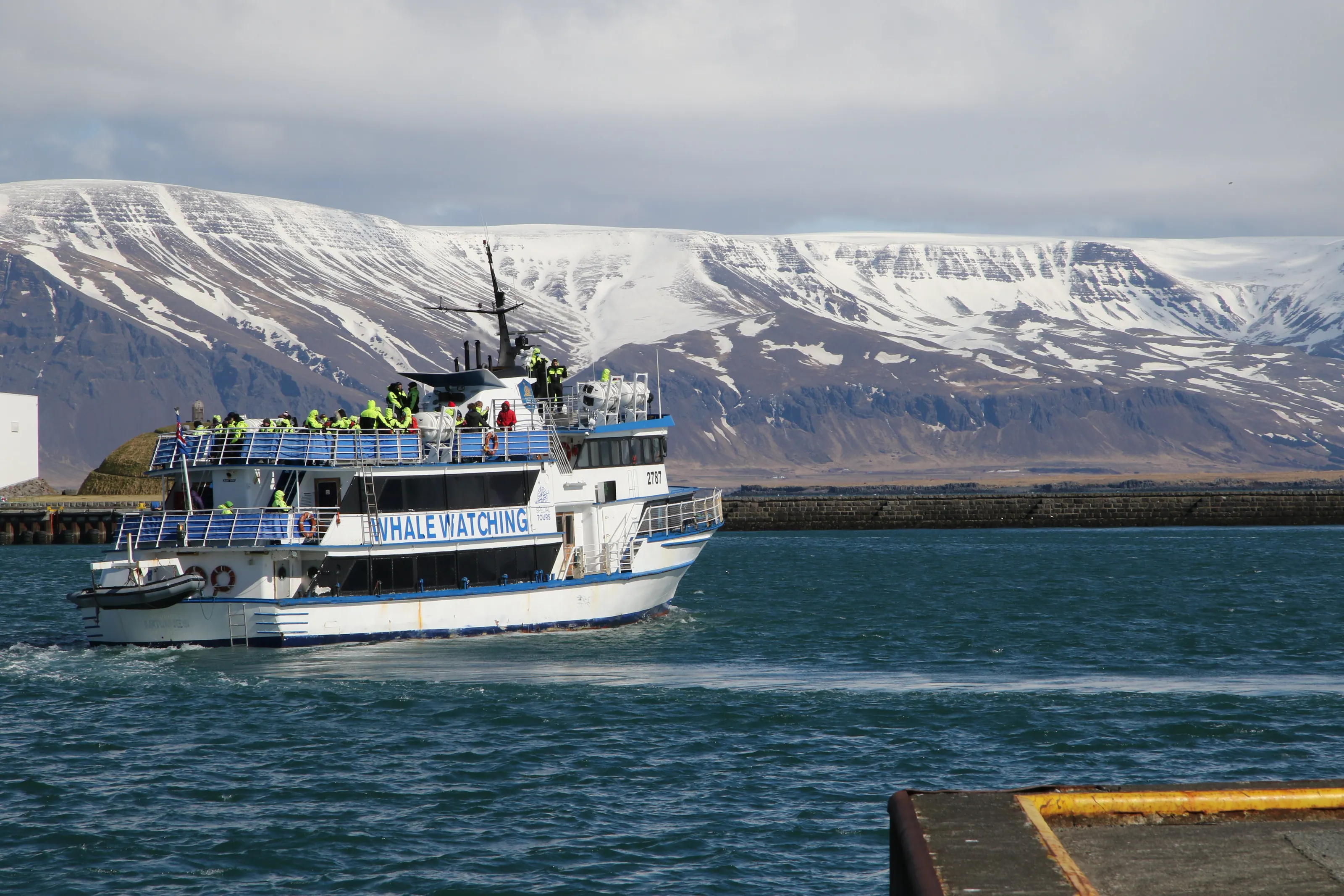 Whale watching boat, Iceland