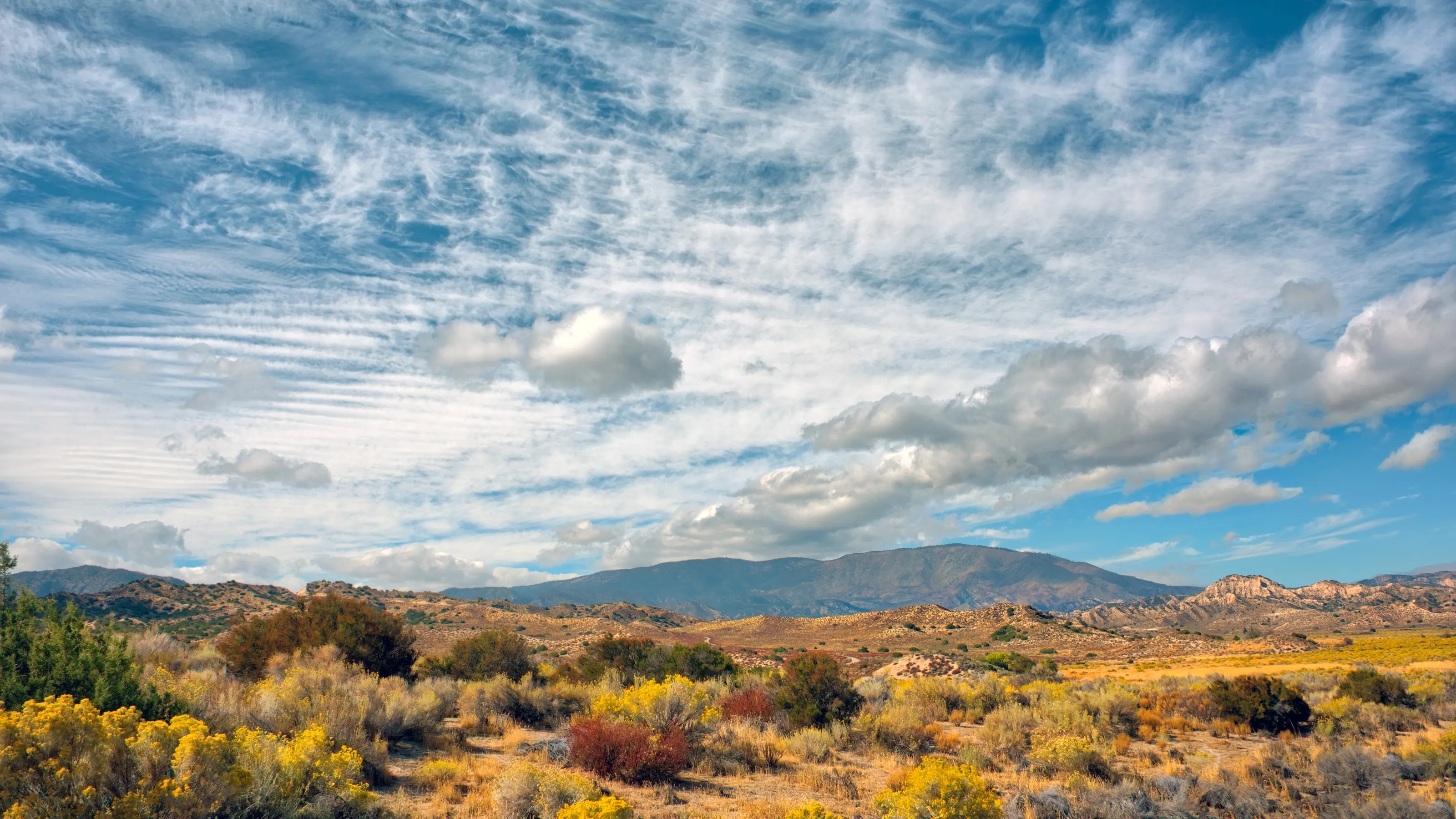 Angeles National Forest