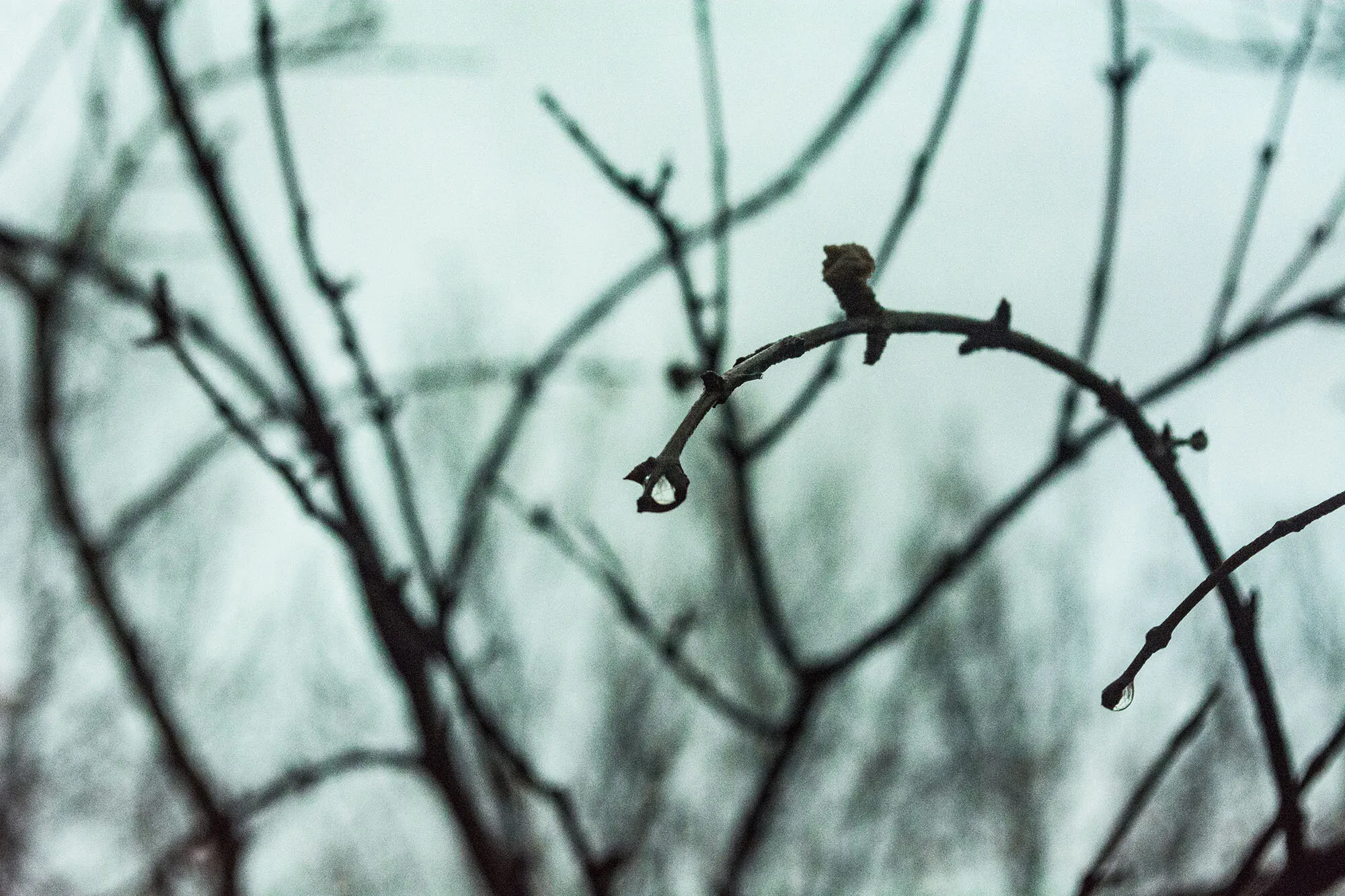 After rain