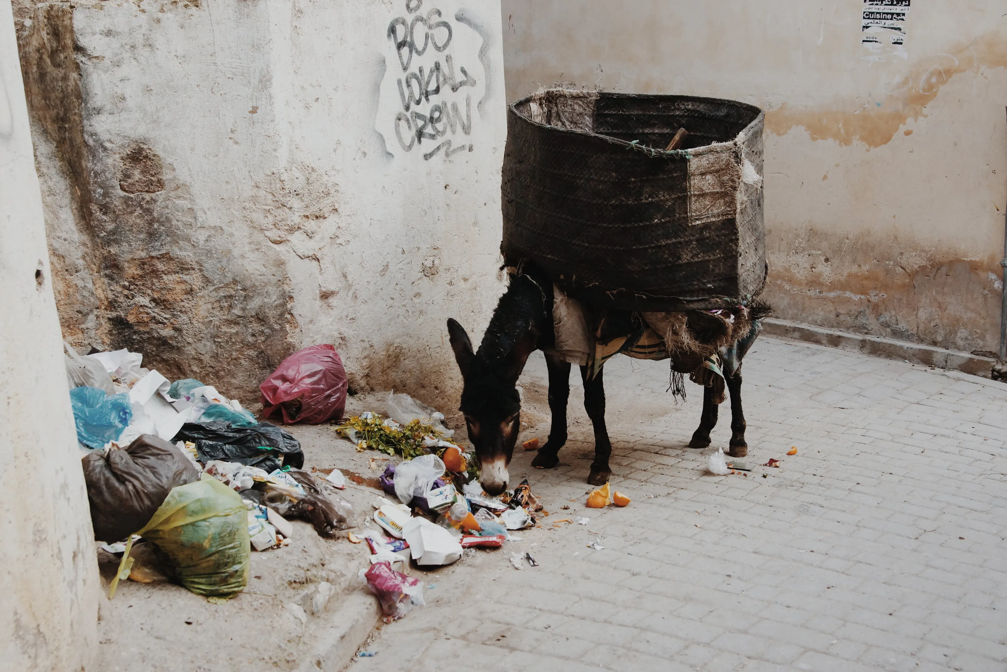 Morning in Morocco