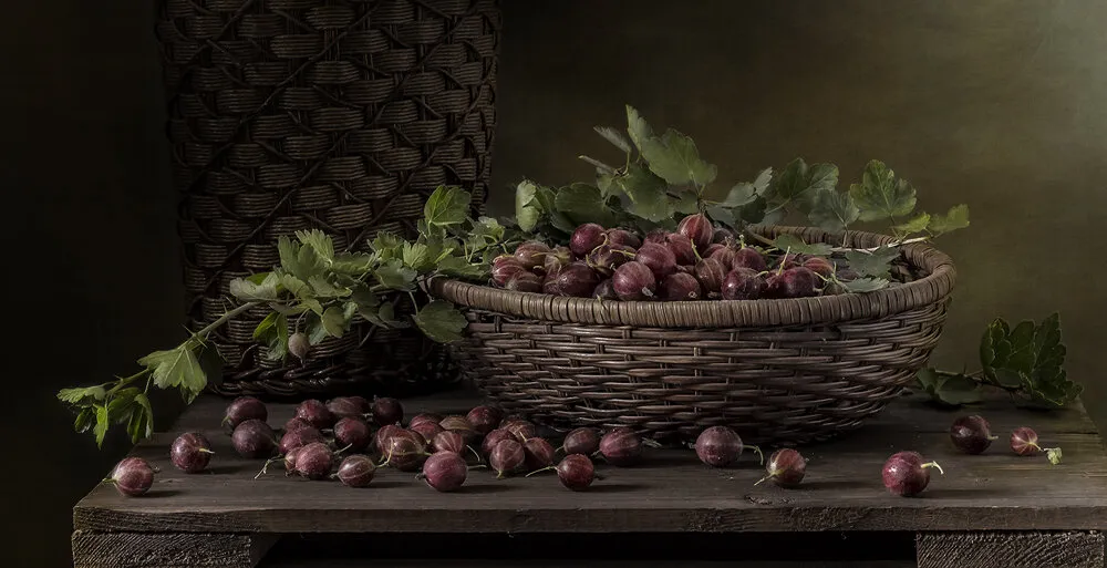 Berries of gooseberries