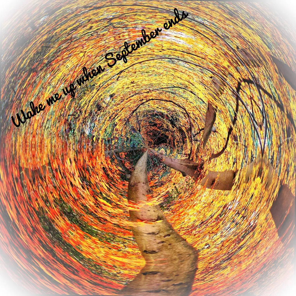 Entry 1837375