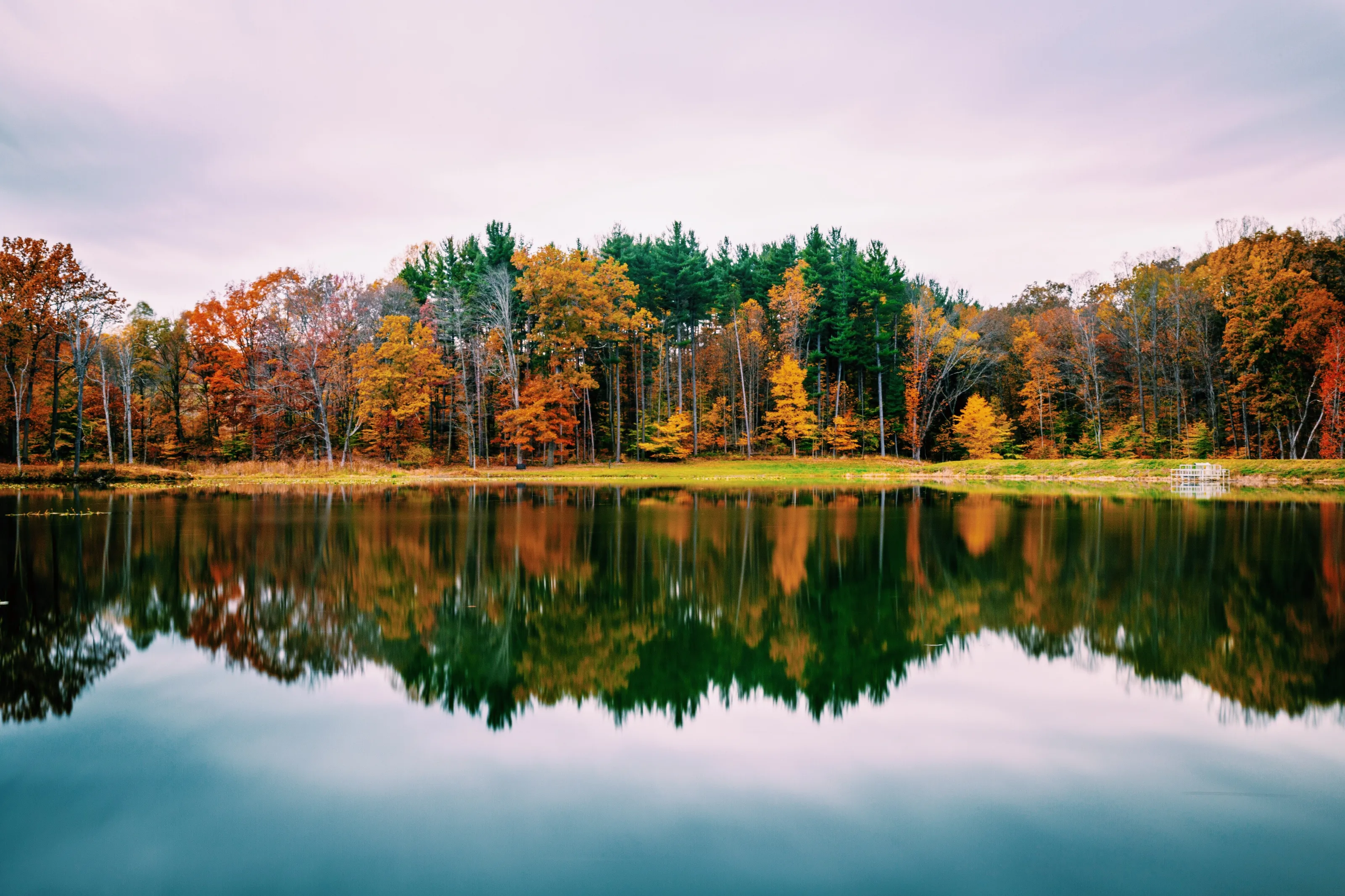 Reflection/noitcelfeR