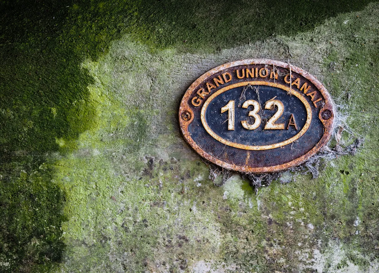 Entry 20885116