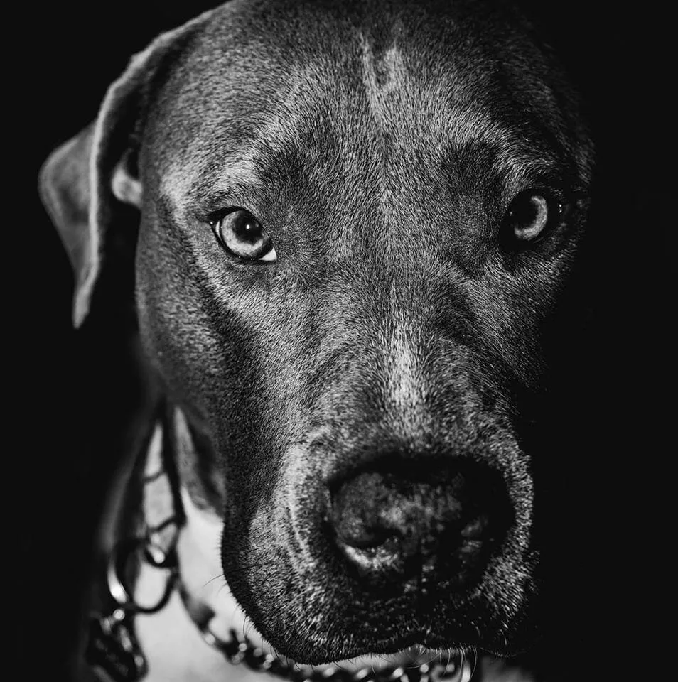 Rosie