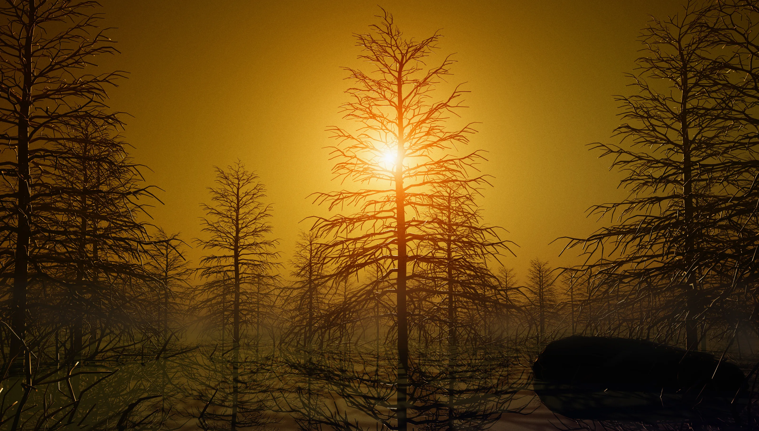 Dry trees