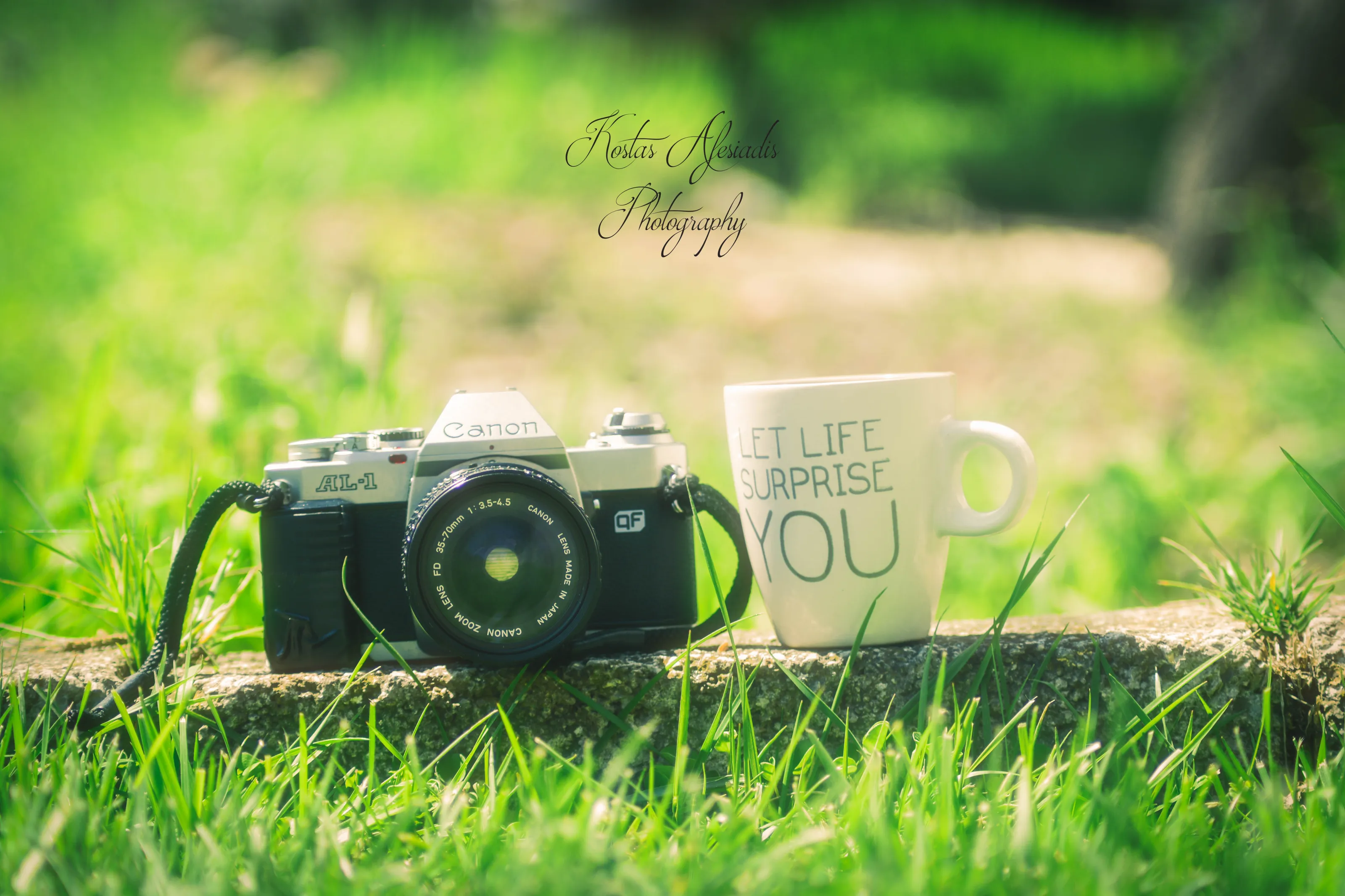 Let the life surprise you