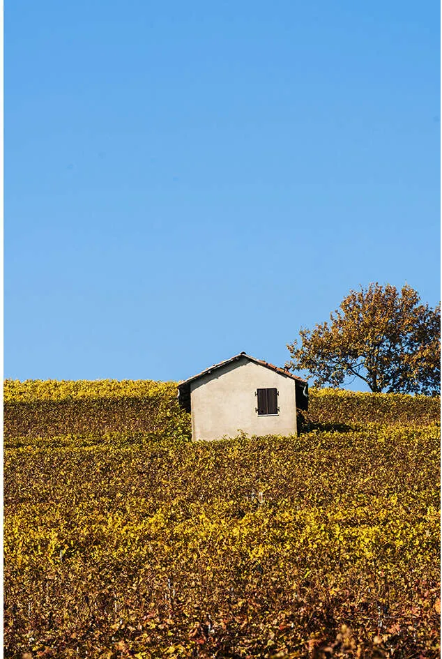 Autumn in the hills