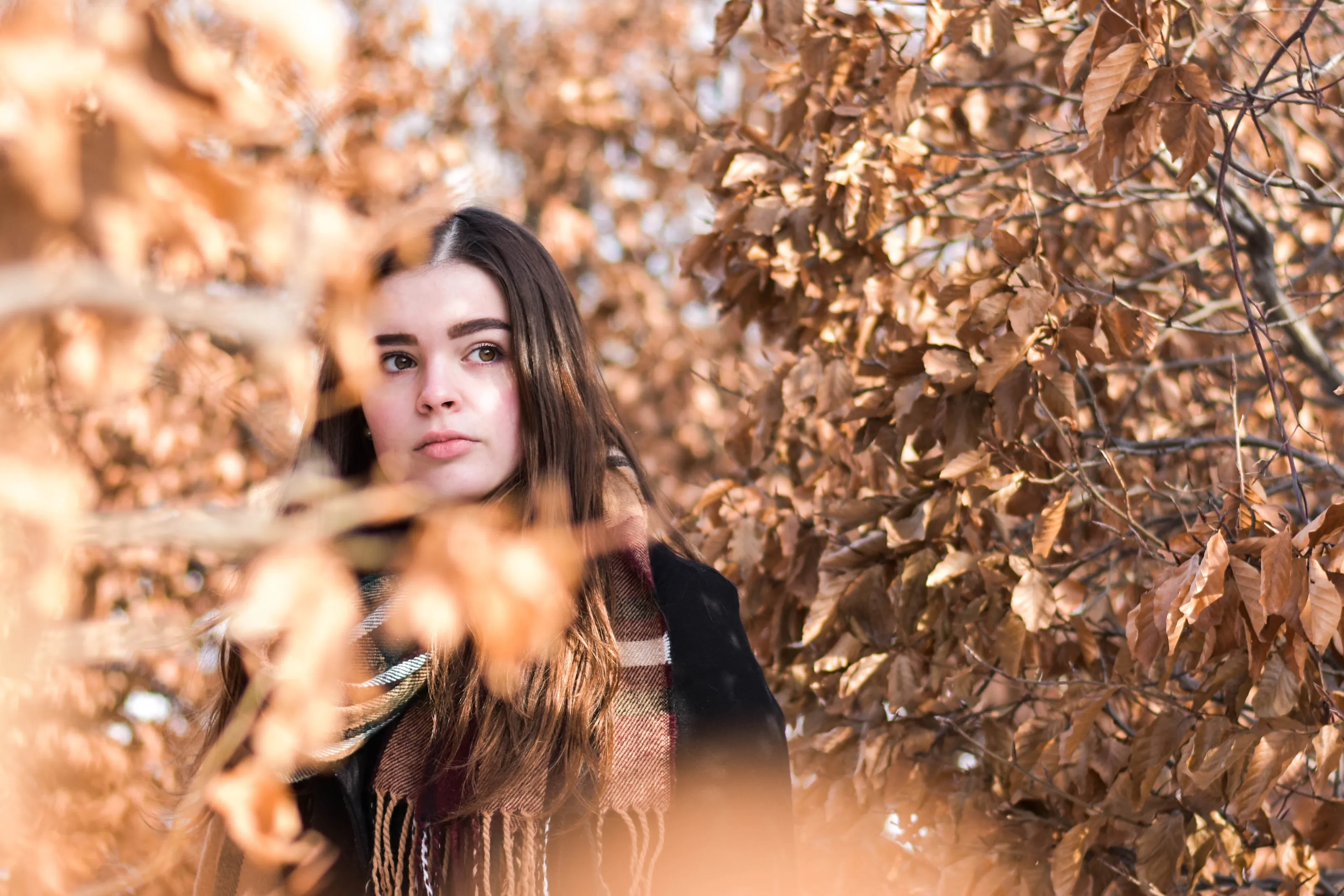 Fall Daydreaming