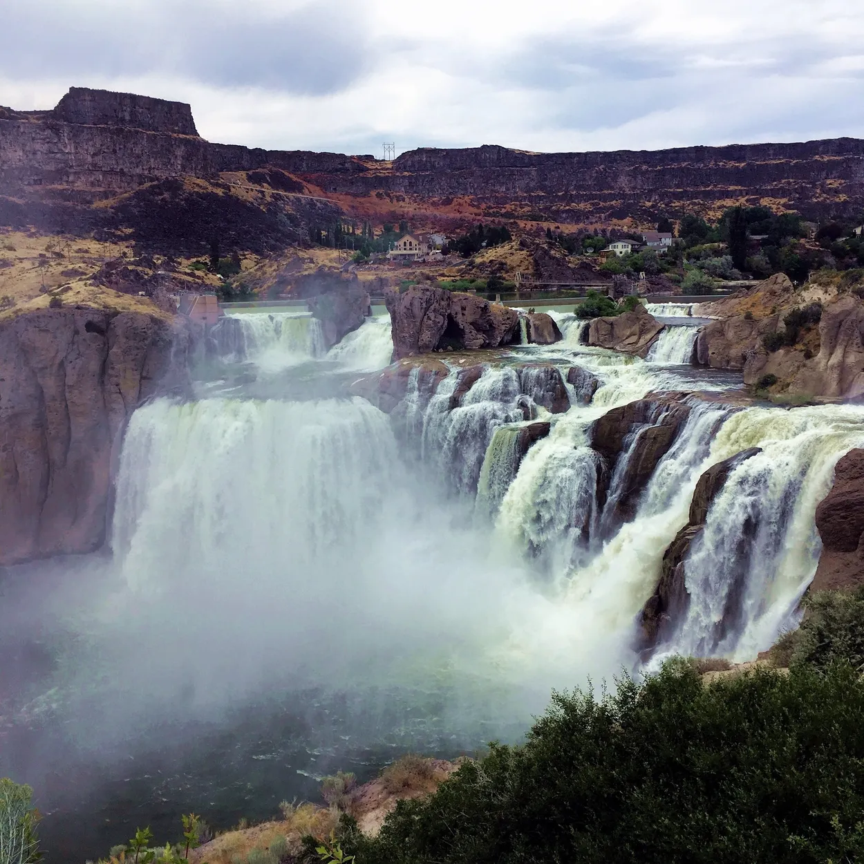 Entry 2292005