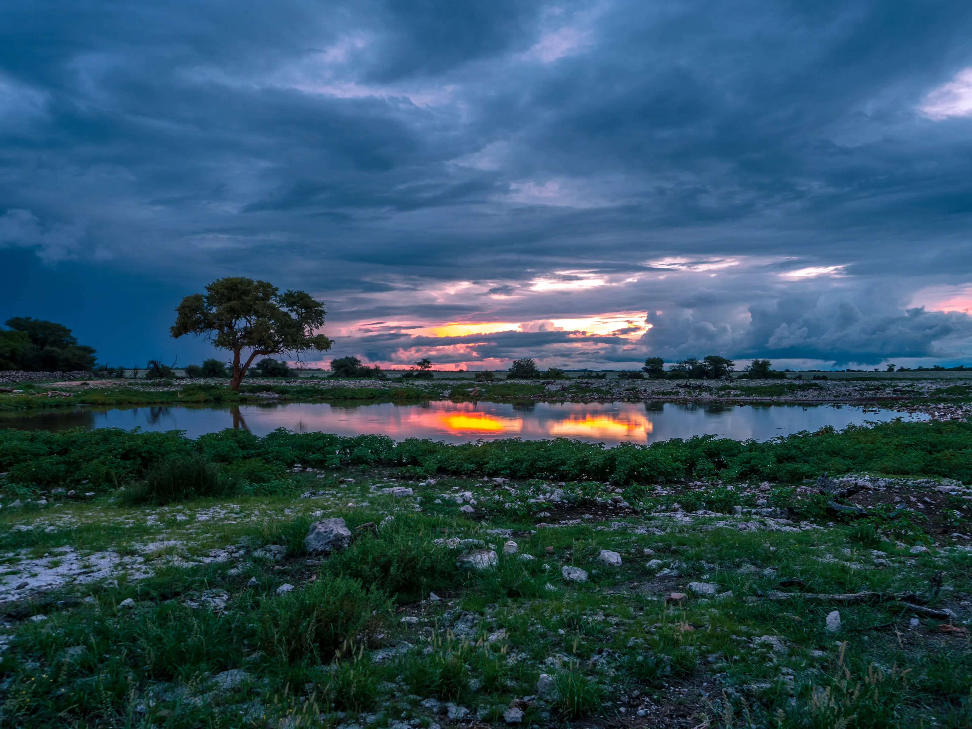 Sunset over the watering hole