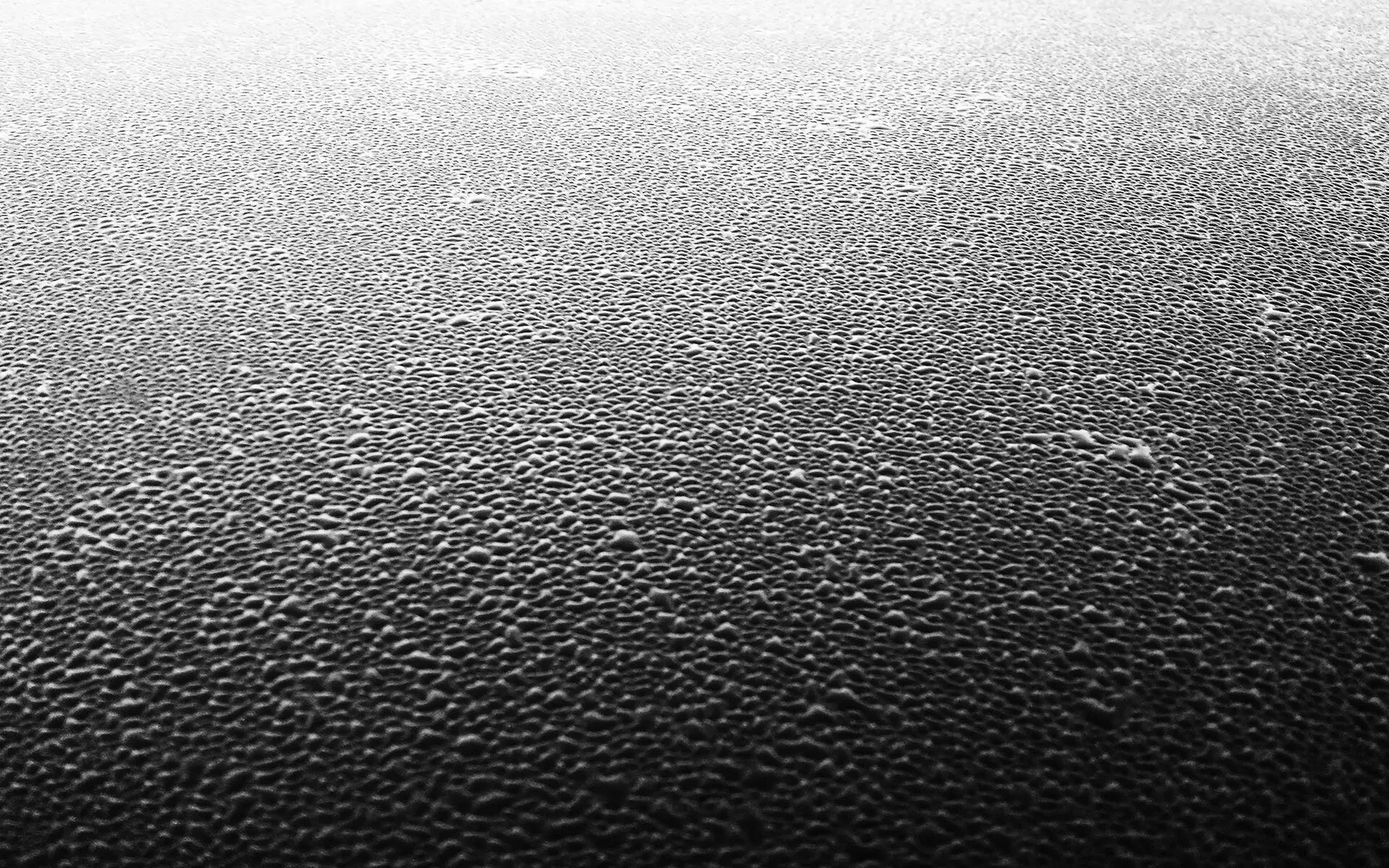 Car Roof