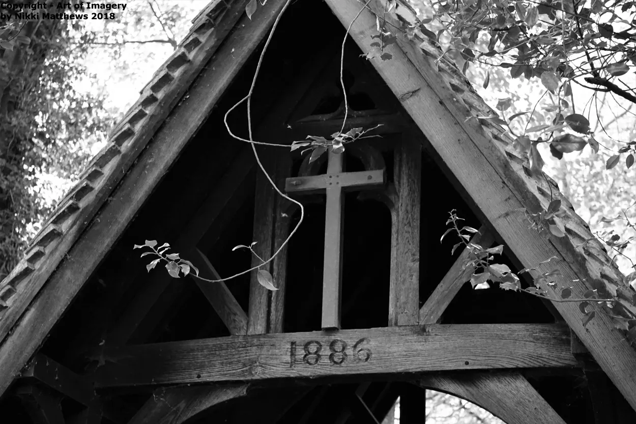 Entry 8109380