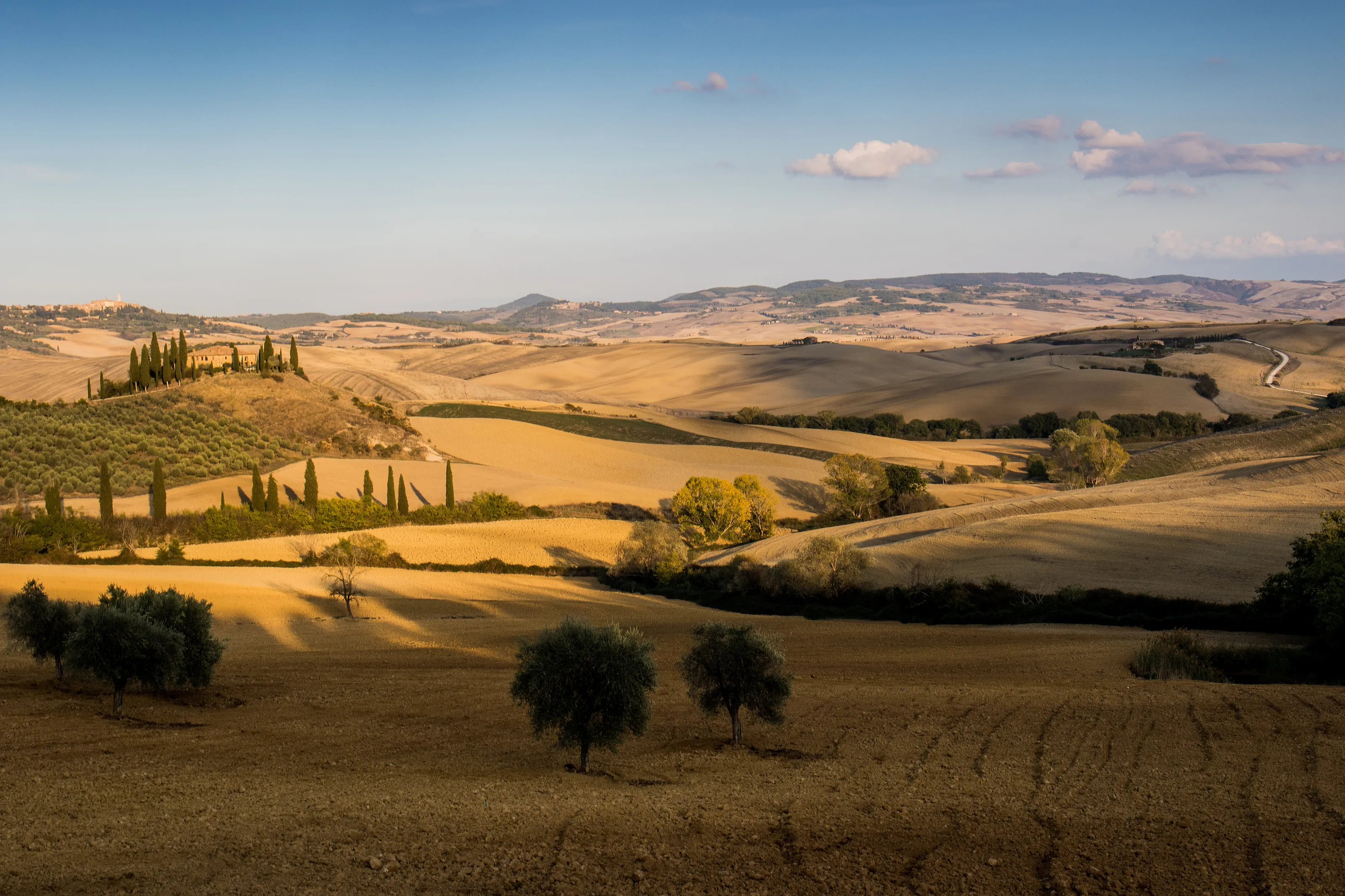 Late afternoon in Tuscany