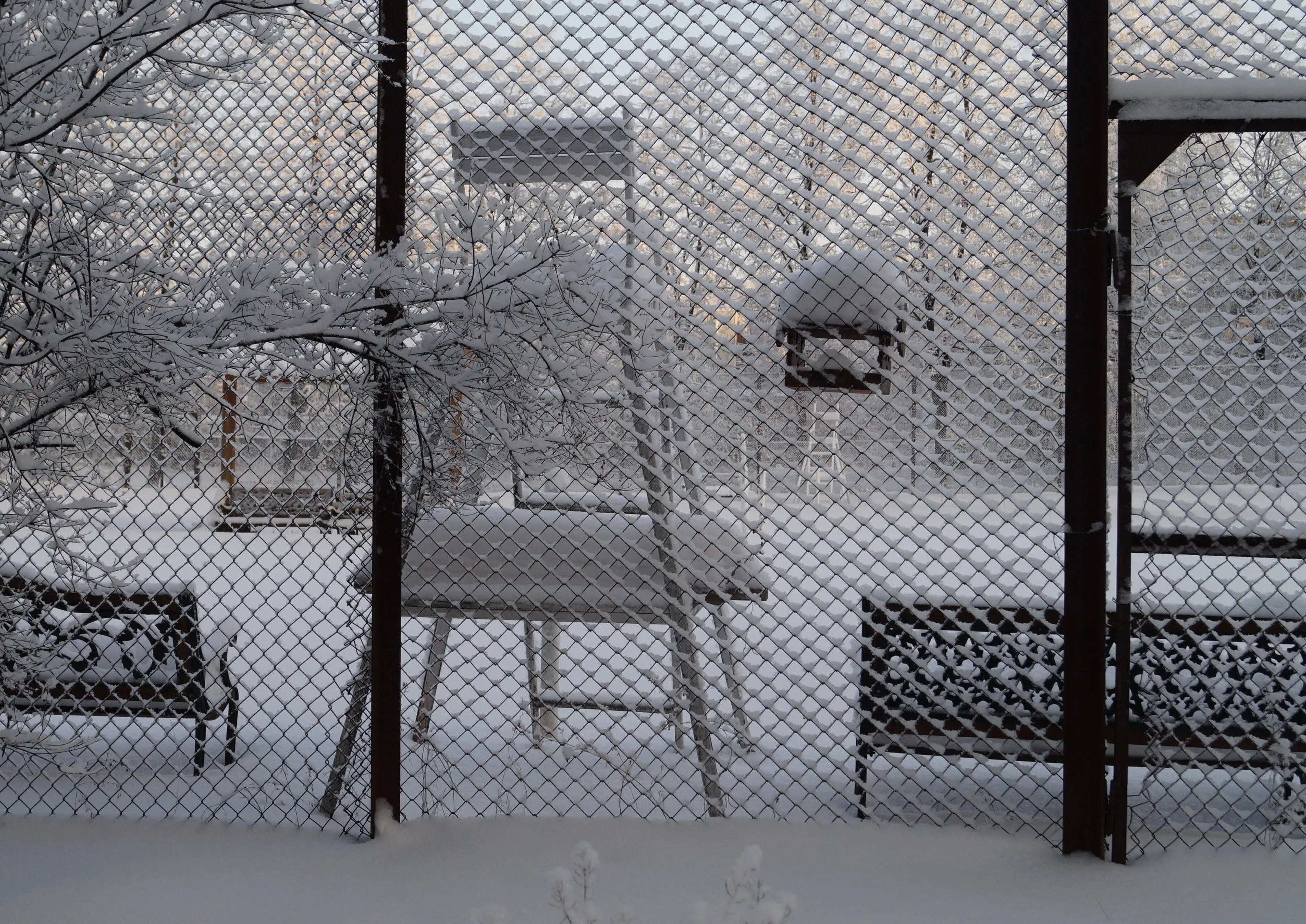 Winter day in Novosibirsk, Siberia