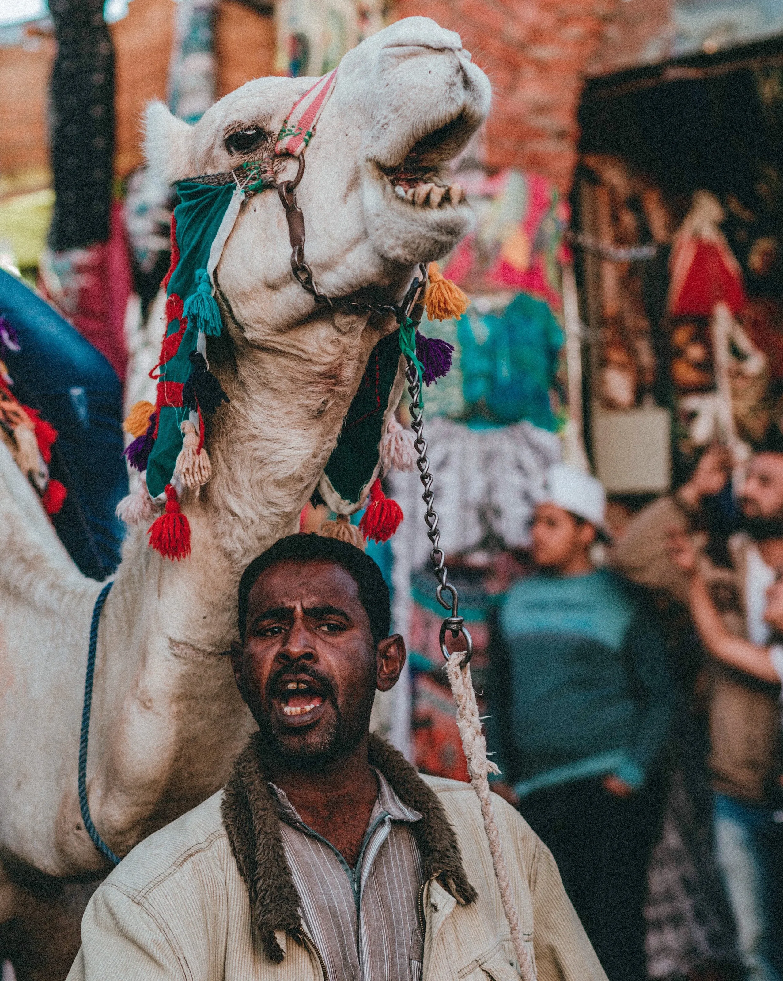 Day in Nubian Village upper Egypt