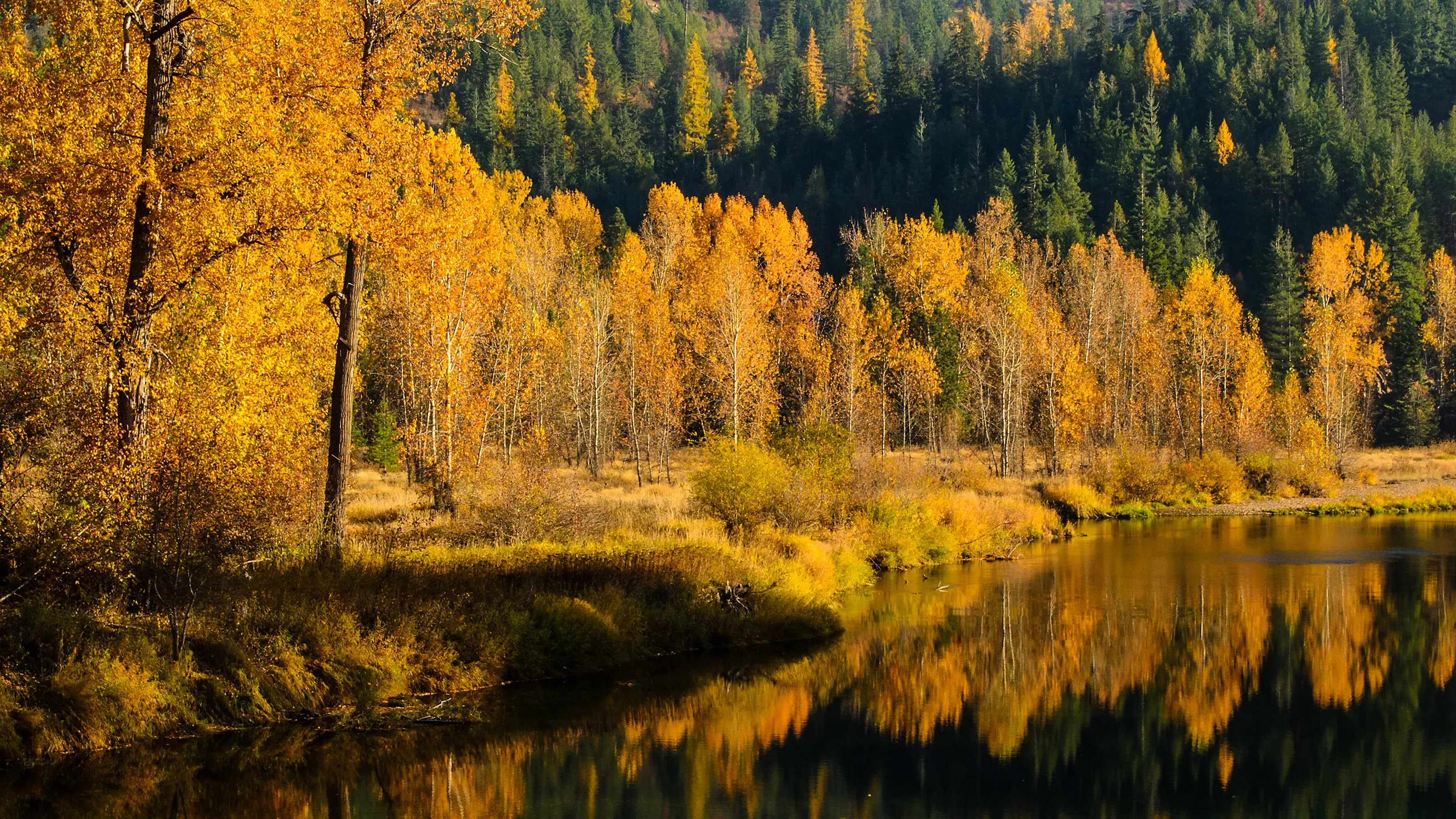 North Coeur D' Alene River