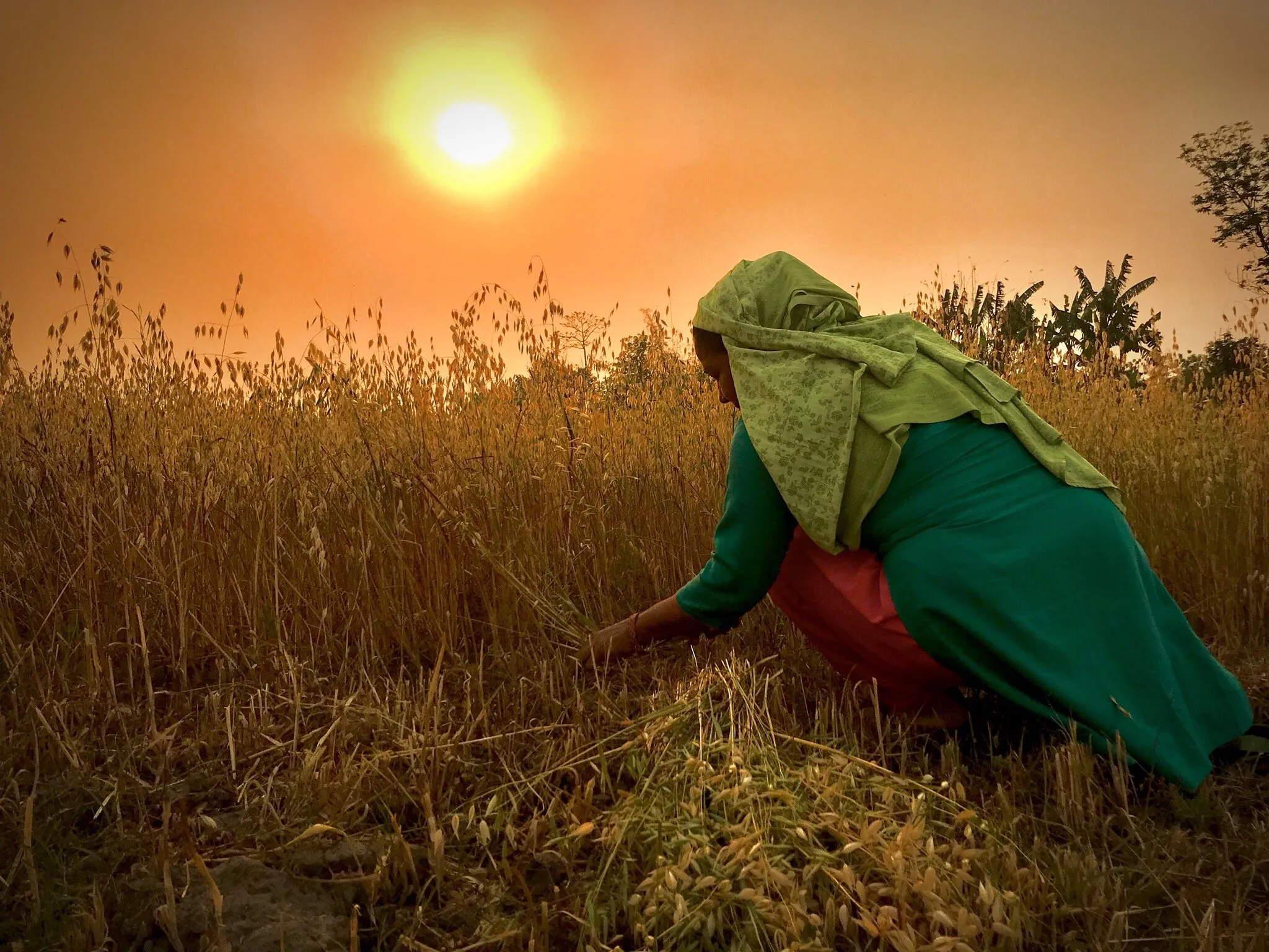 Women in Farming.