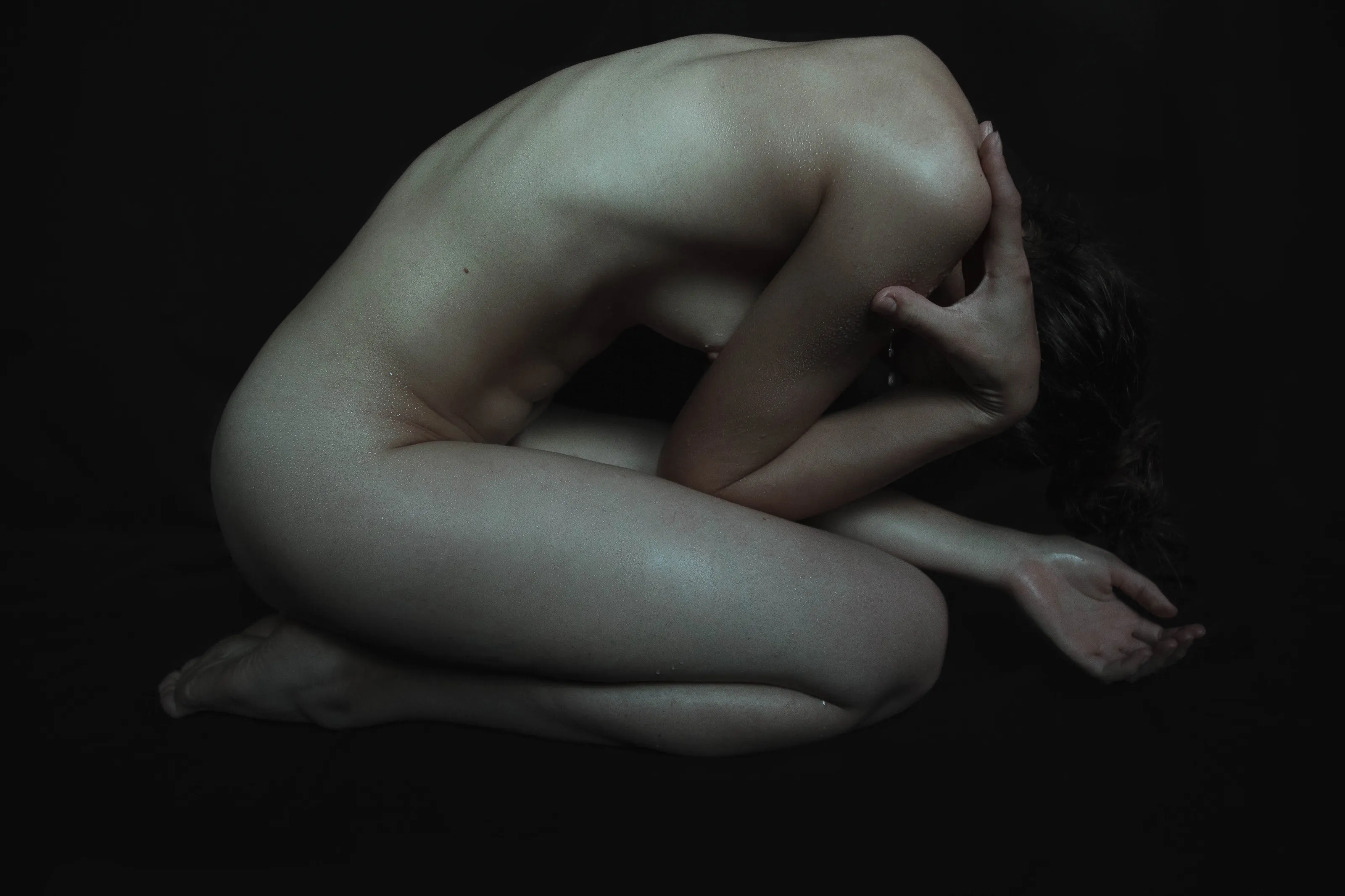 Body