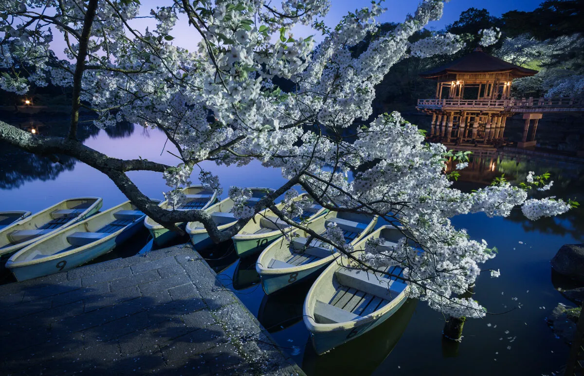 Entry 2103243
