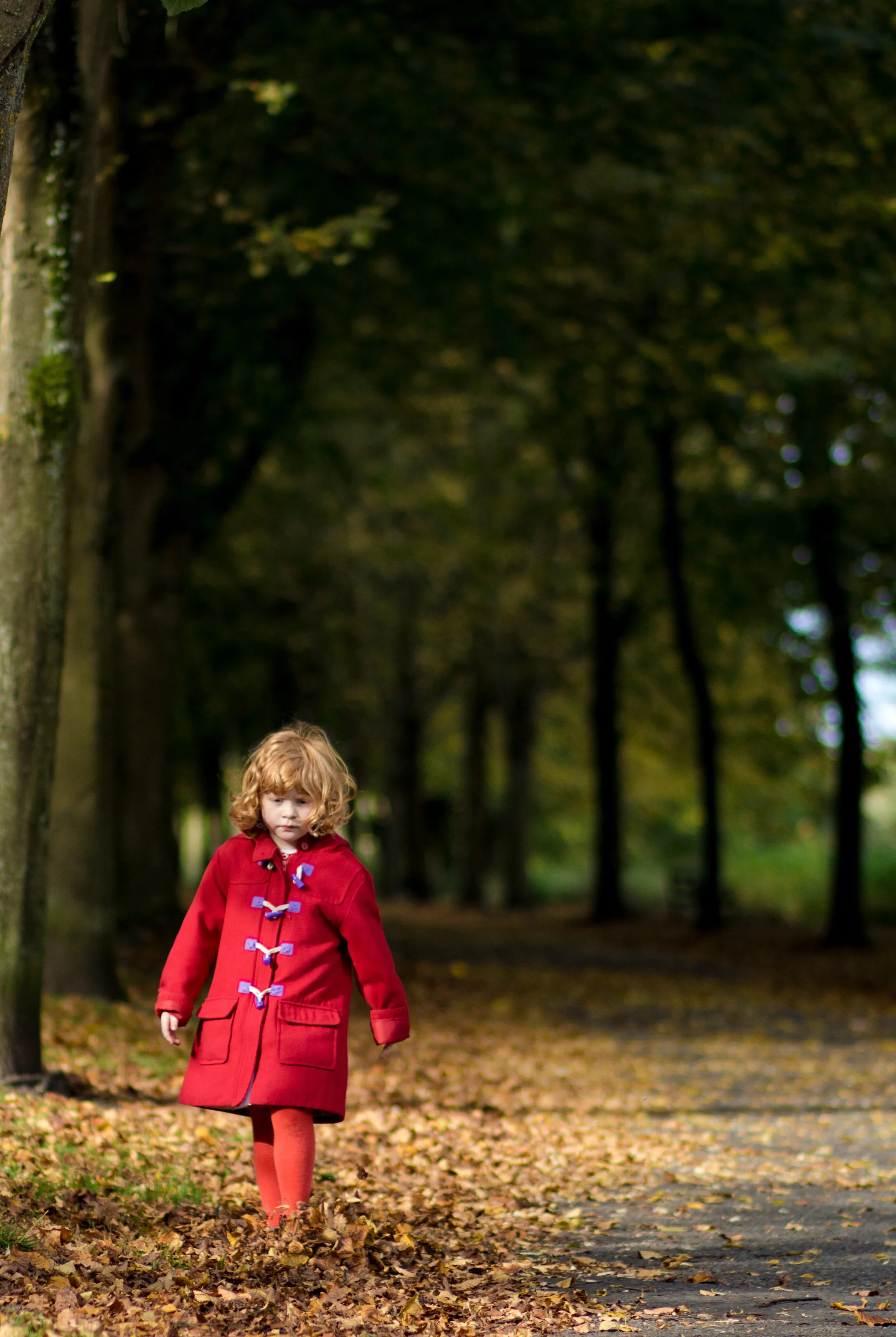 An Autumn walk