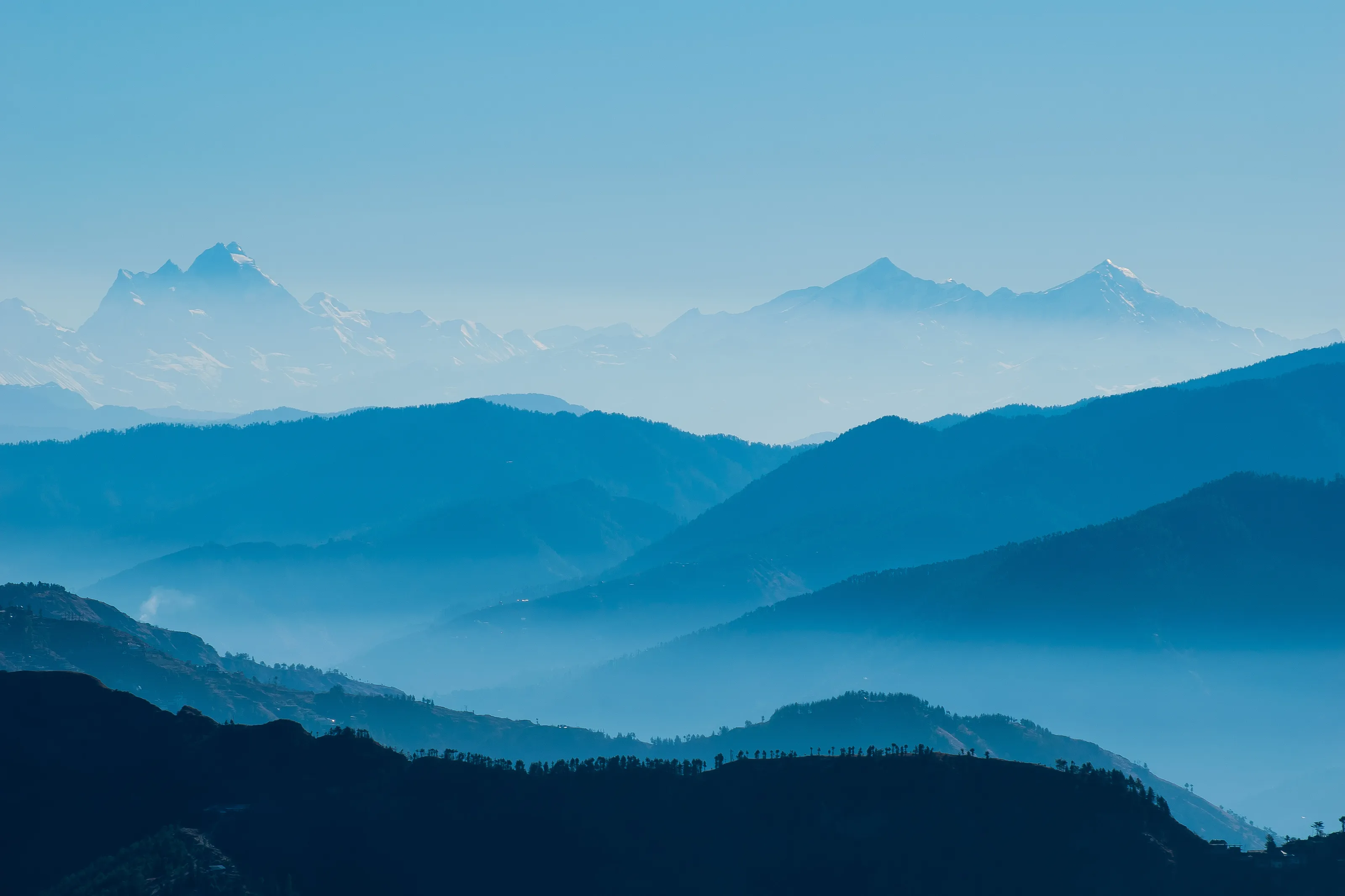 Shimla